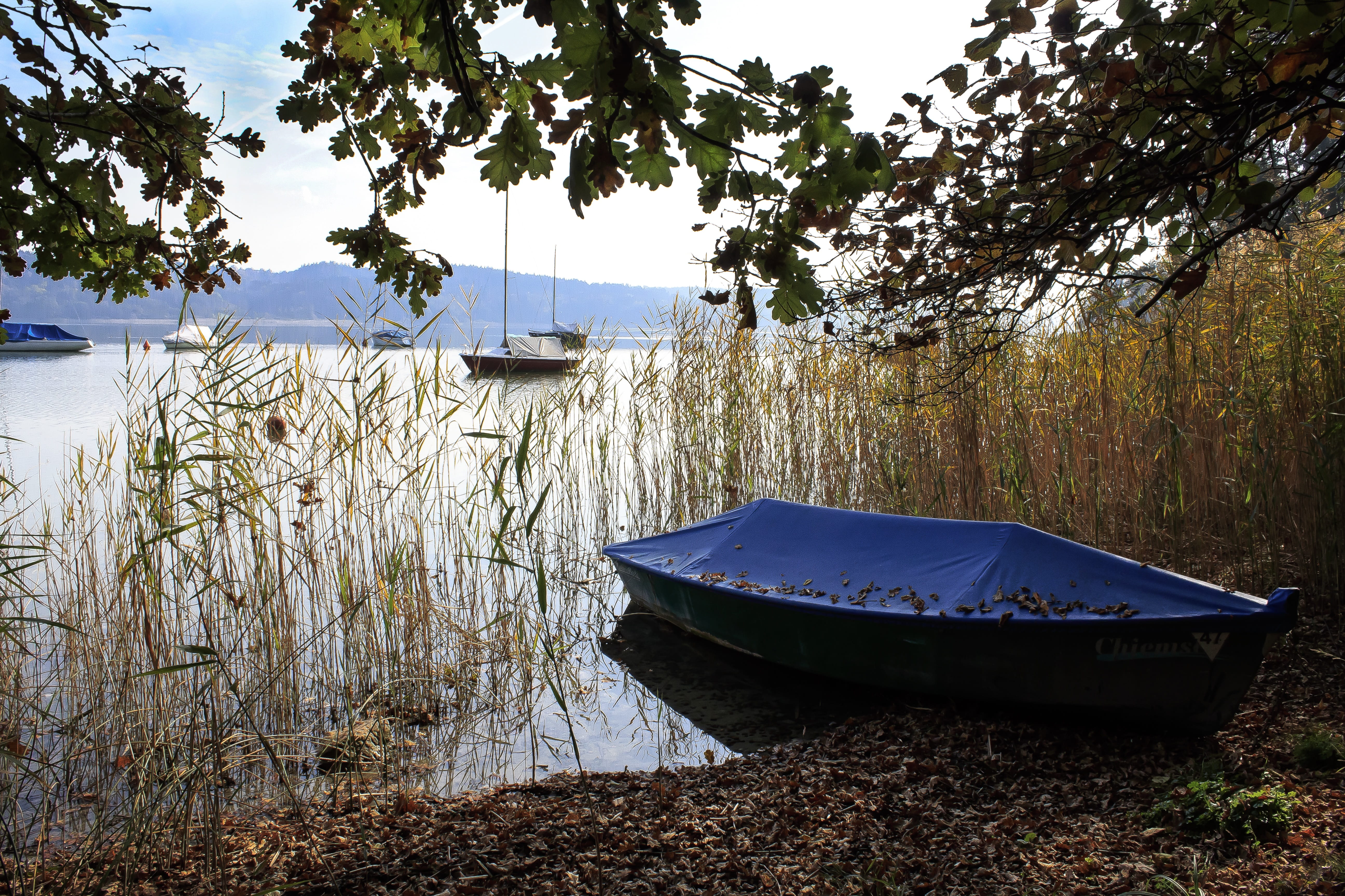 nature, boats, clouds, water, covered, tranquil scene, nautical vessel, sky, mirroring, haze, upper bavaria, 5K, rowboat, plant, saisonende, lake, forest, HD Wallpaper