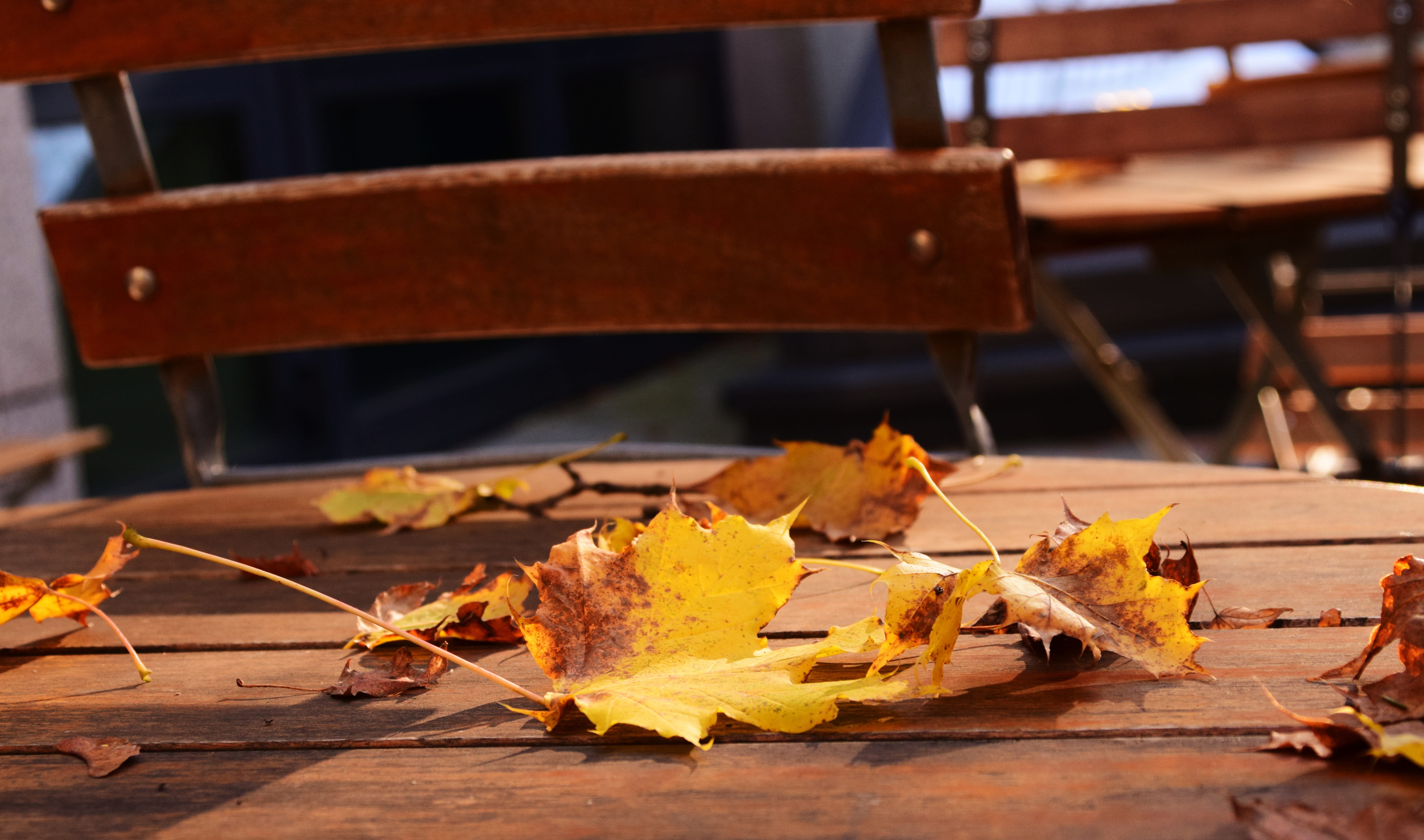 table, outdoors, natural condition, seat, falling, brown, autumn collection, orange Color, season, end season, plant part, chairs superscript, after work, HD Wallpaper
