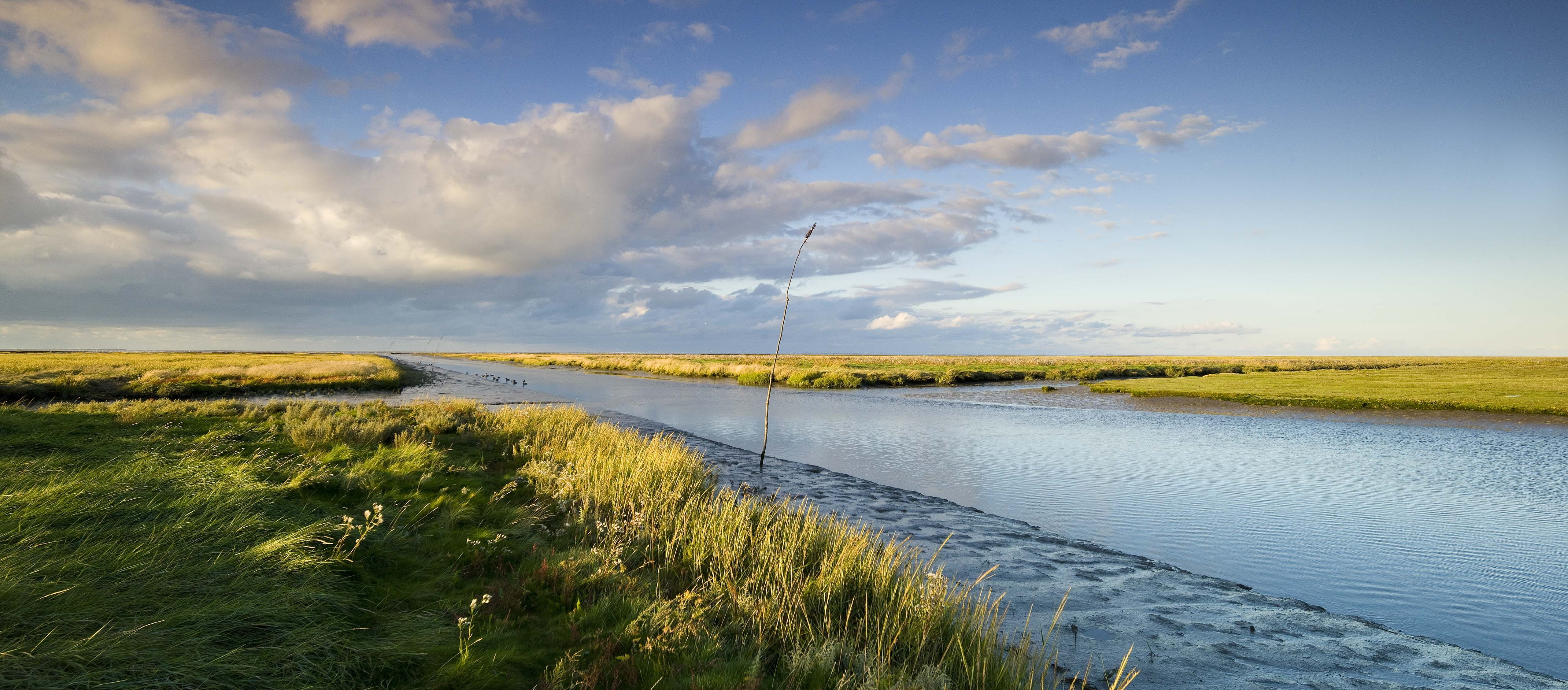 sky, ebb, day, lake, landscape, creek, field, grass, outdoors, bank, kwelder, lagoon, mud, scenics - nature, beauty in nature, water, marsh, land, netherlands, HD Wallpaper
