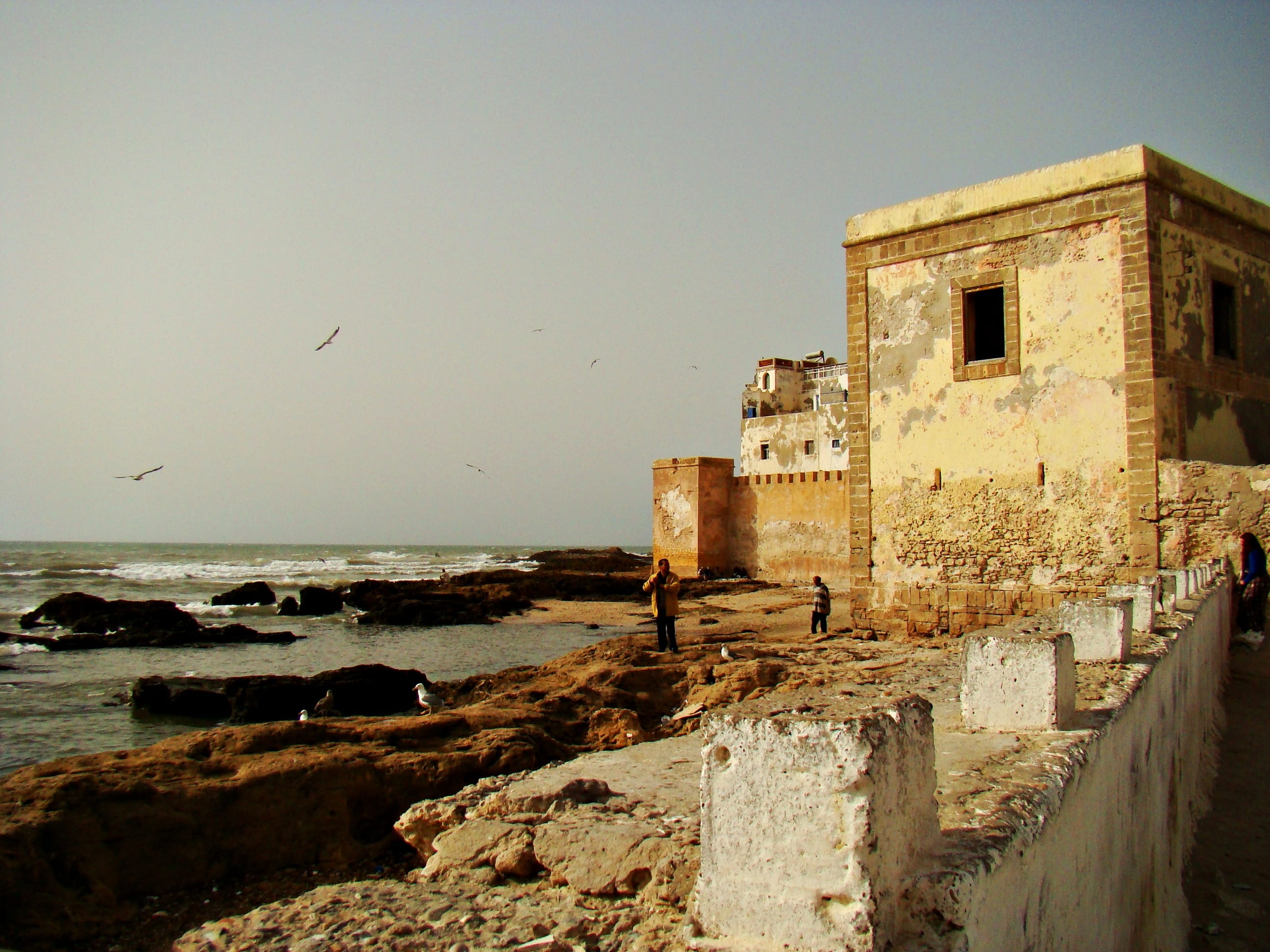 city, holiday, built structure, desert, idyllic, Essaouira, sea, mood, building exterior, blue boats, docks, old ruin, summer, day, wave, atlantic, anchorage, HD Wallpaper