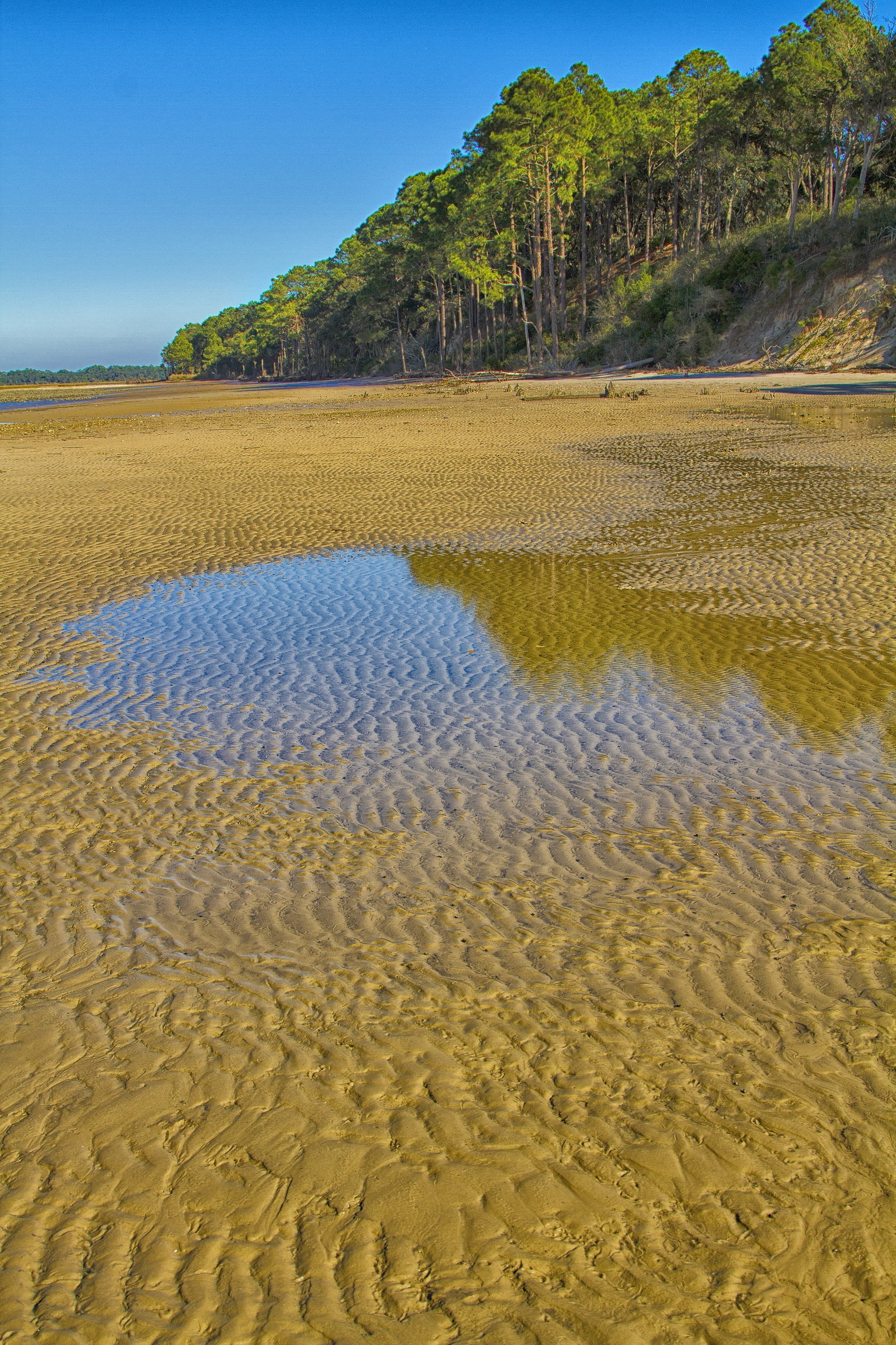 tranquility, day, seashore, natural, desert, tranquil scene, trees, reflection, climate, no people, 2K, sea, scenics - nature, ebb, water, sunlight, shore, Phone HD Wallpaper