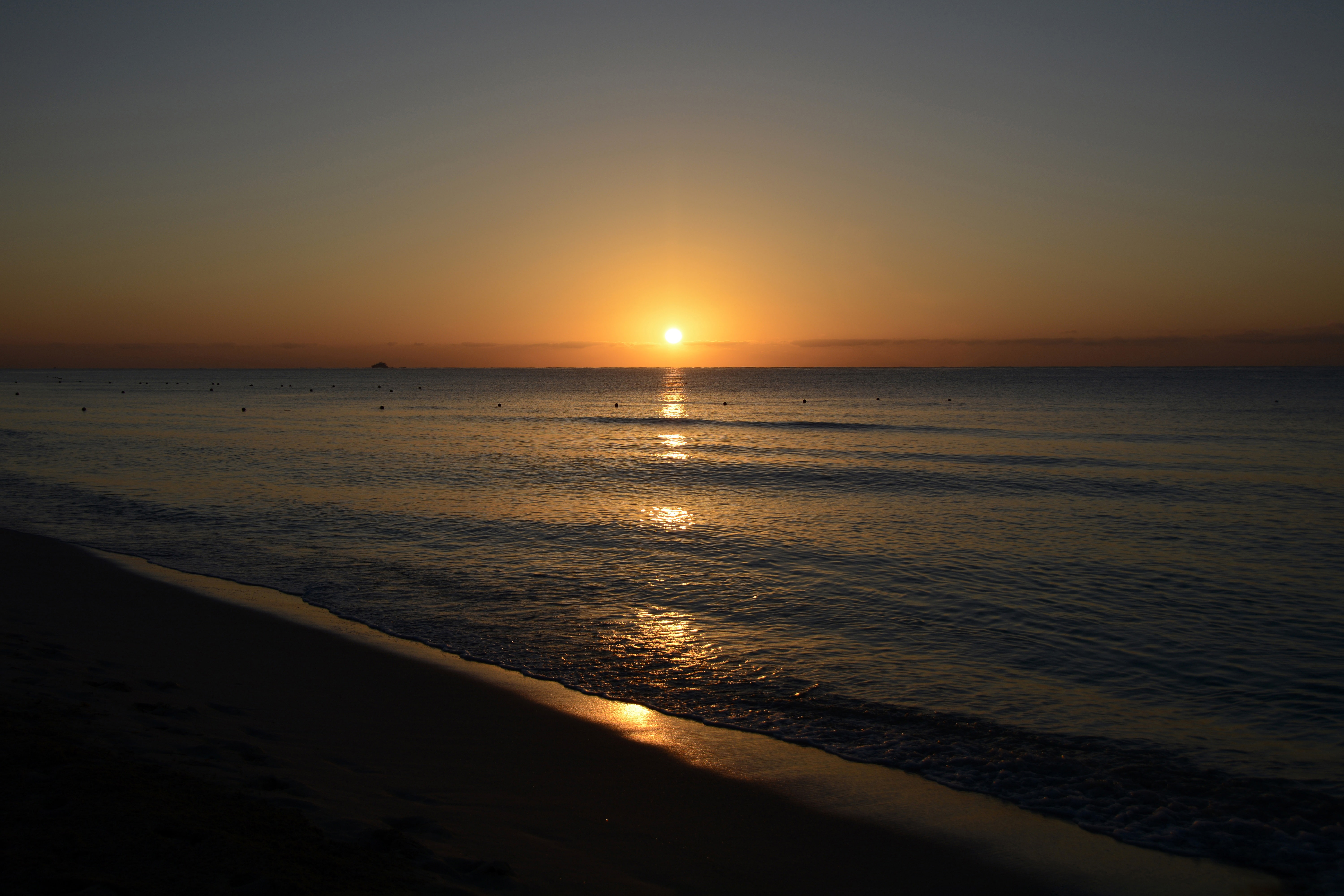 sunset, sun, beach, ebb, sea, reflection, 5K, HD Wallpaper