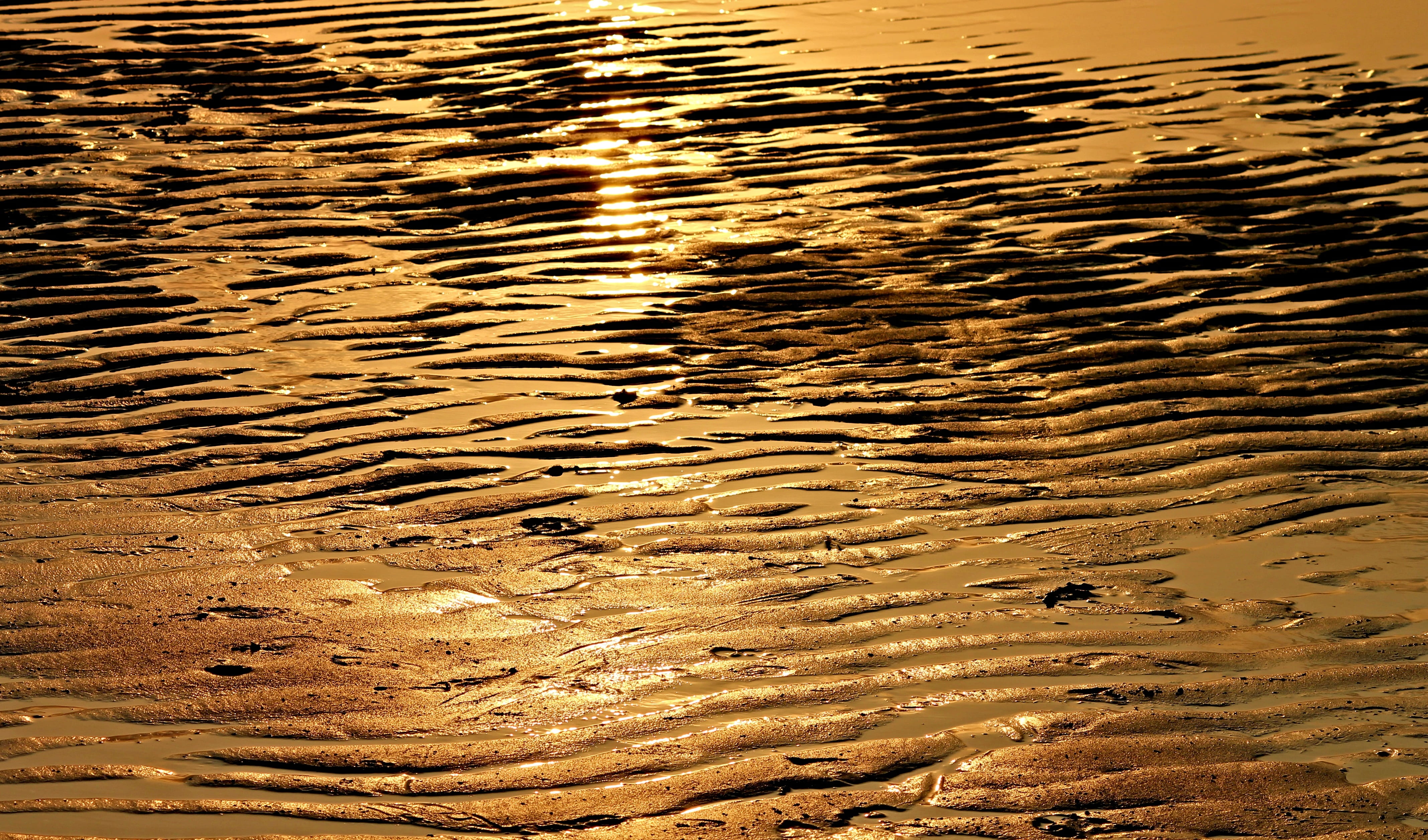 body, coast, outdoors, evening sun, no people, backgrounds, low tide, landscape, salt water, north sea, ebb, wet, 4K, reflection, beach, wadden sea, sand beach, HD Wallpaper