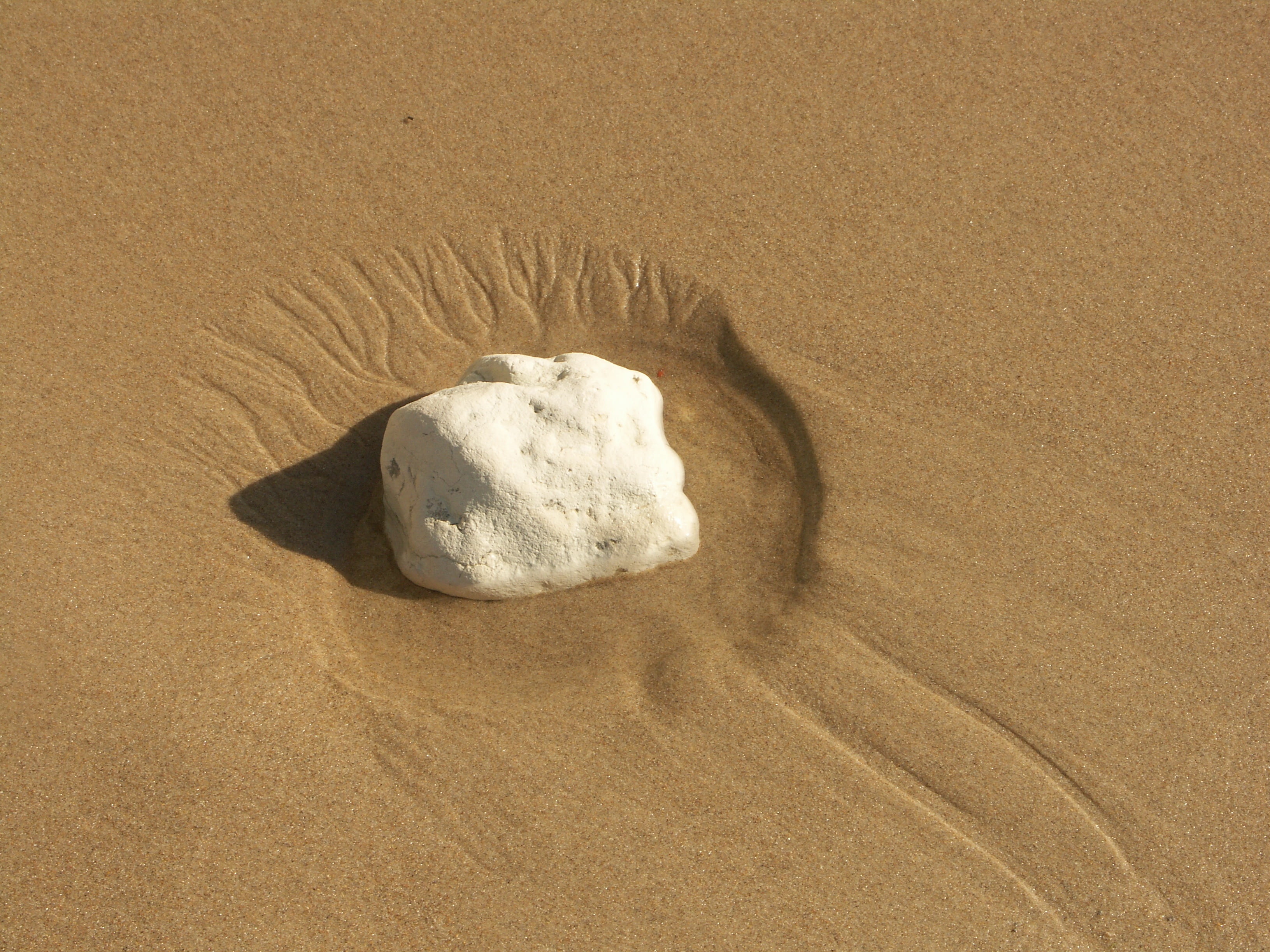 textured, nature, stone, brown, day, ebb, water, sunlight, structures, beauty in nature, high angle view, beach, sea, beige, still life, solid, white, land, HD Wallpaper