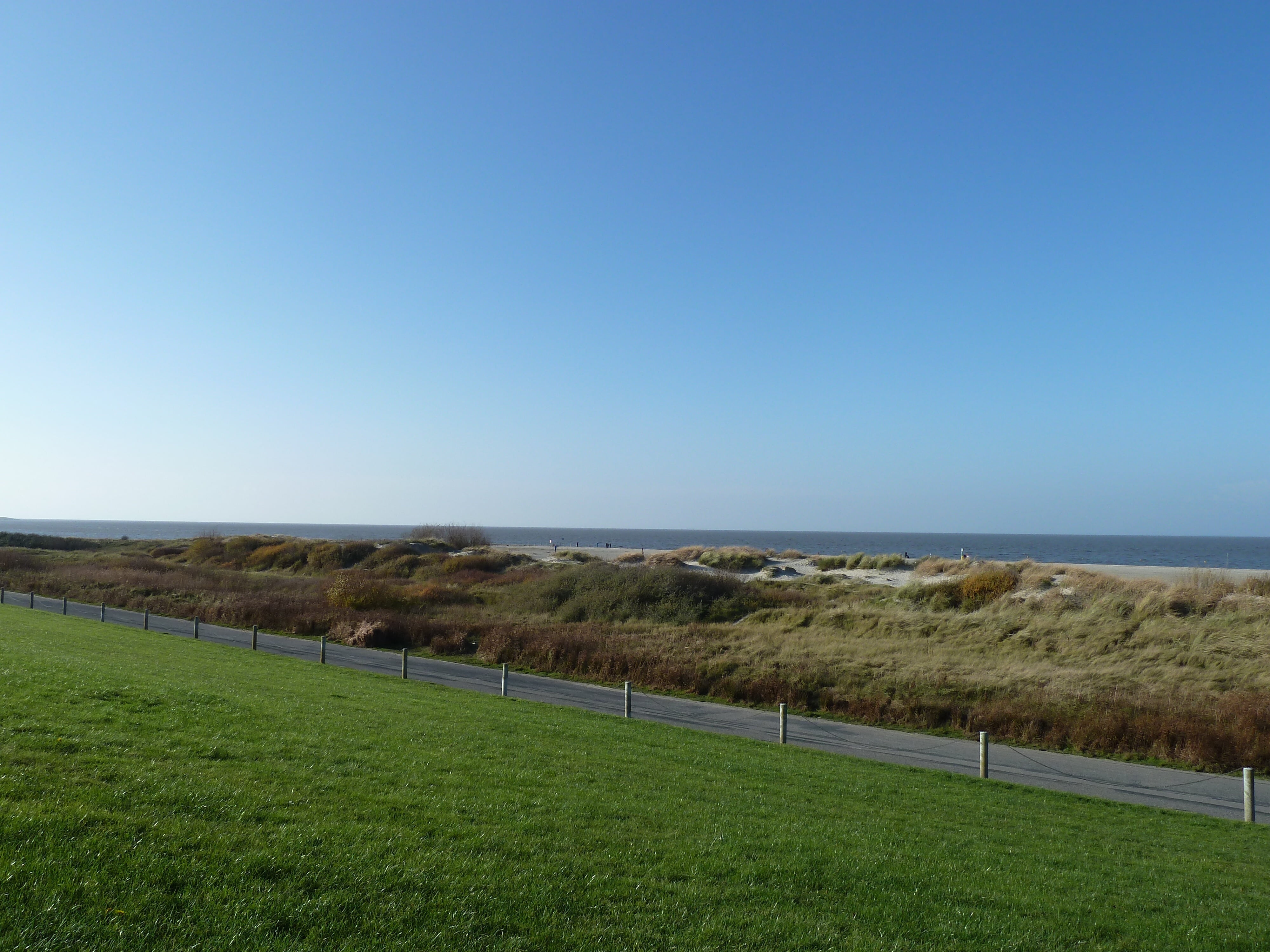germany, landscape, nature, beauty in nature, tranquility, no people, land, scenics - nature, east frisia, grass, horizon over water, blue, water, sea, HD Wallpaper