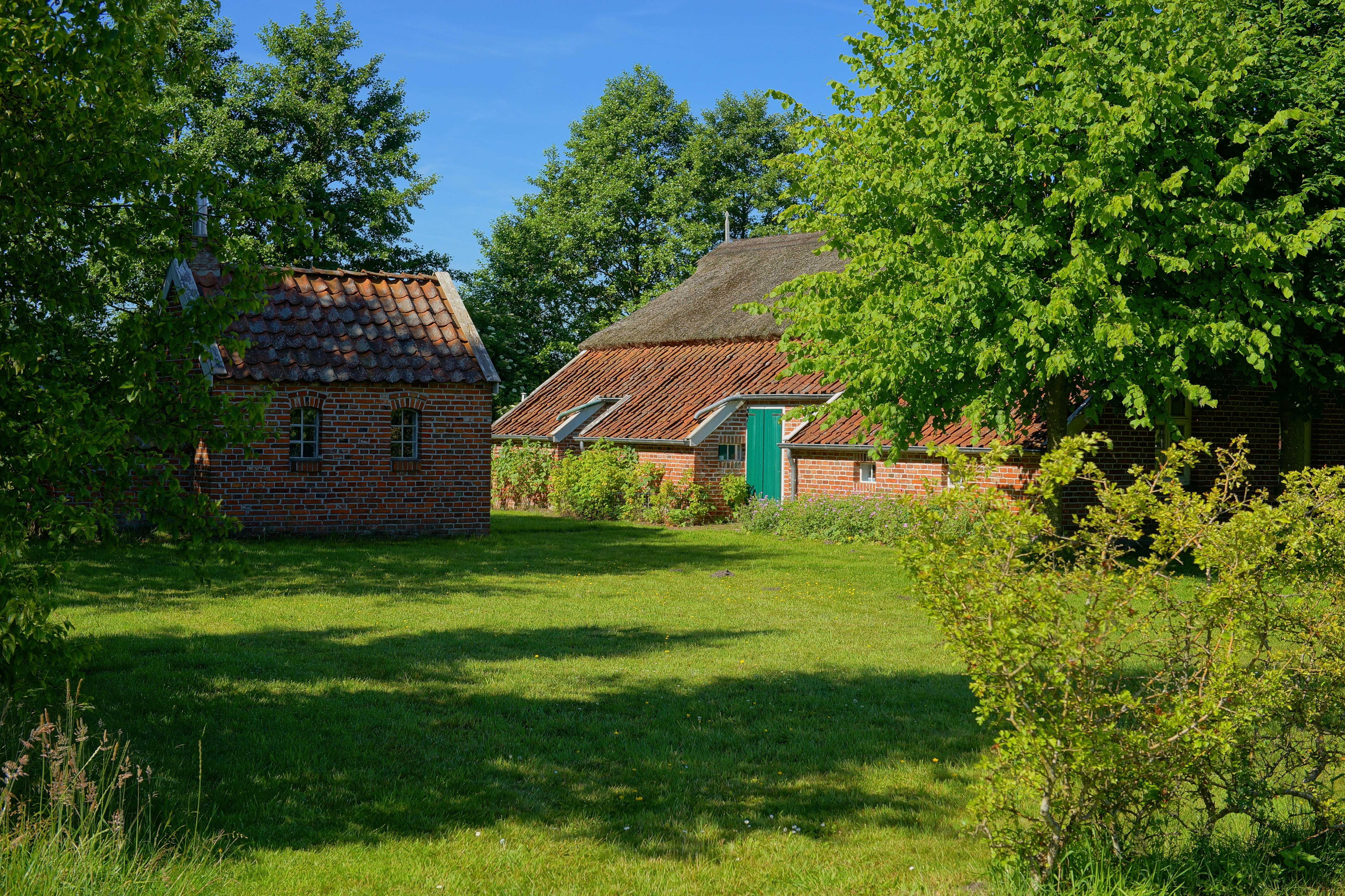 old door, fehnhaus, outdoors, landscape, frisia, nature, sky, museum, structure, agriculture, thatched cover, tree, no people, growth, built structure, HD Wallpaper