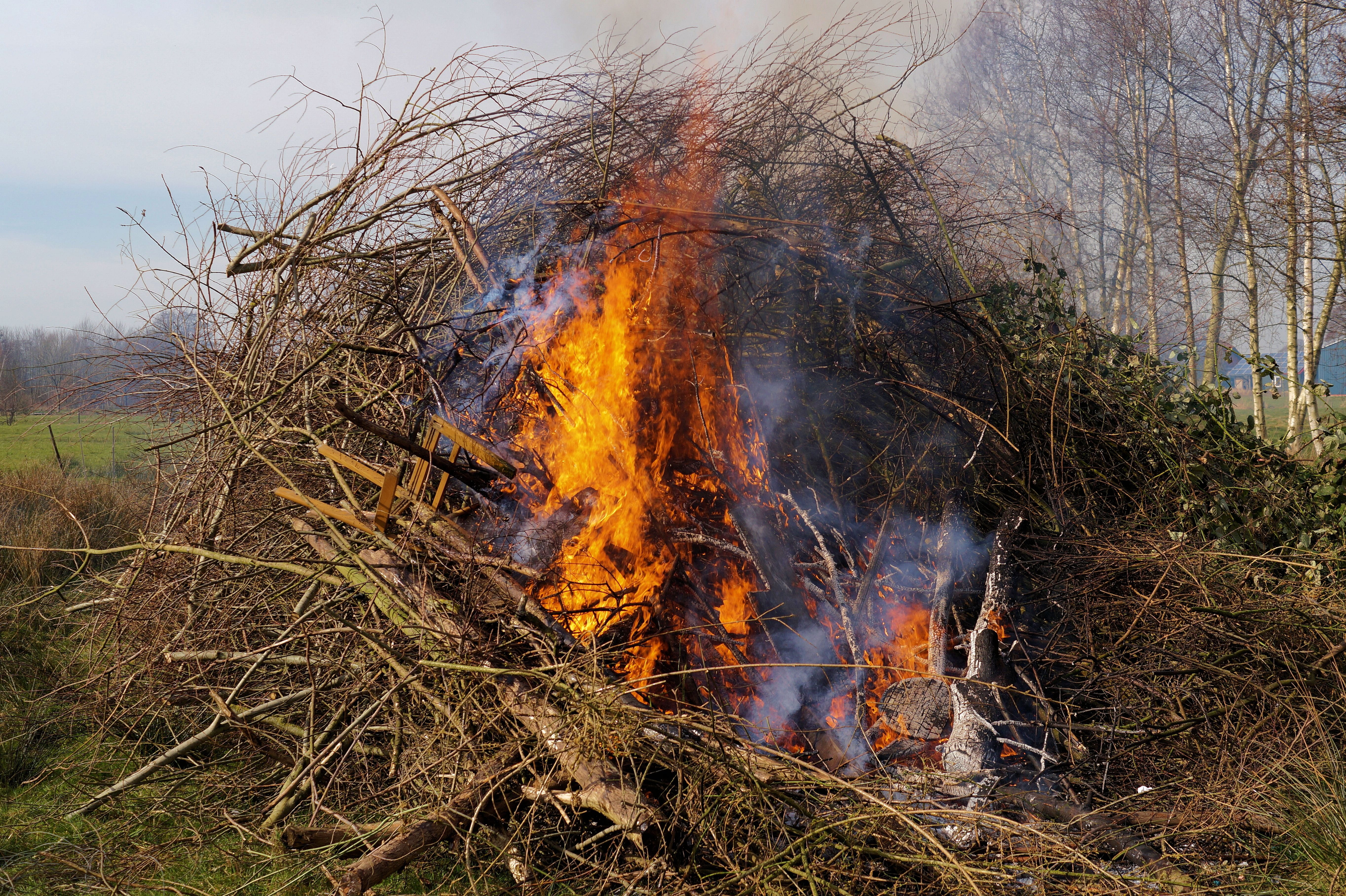 day, outdoors, land, environmental issues, east frisia, forest, smoke - physical structure, tradition, tree, field, 5K, environment, environmental damage, HD Wallpaper