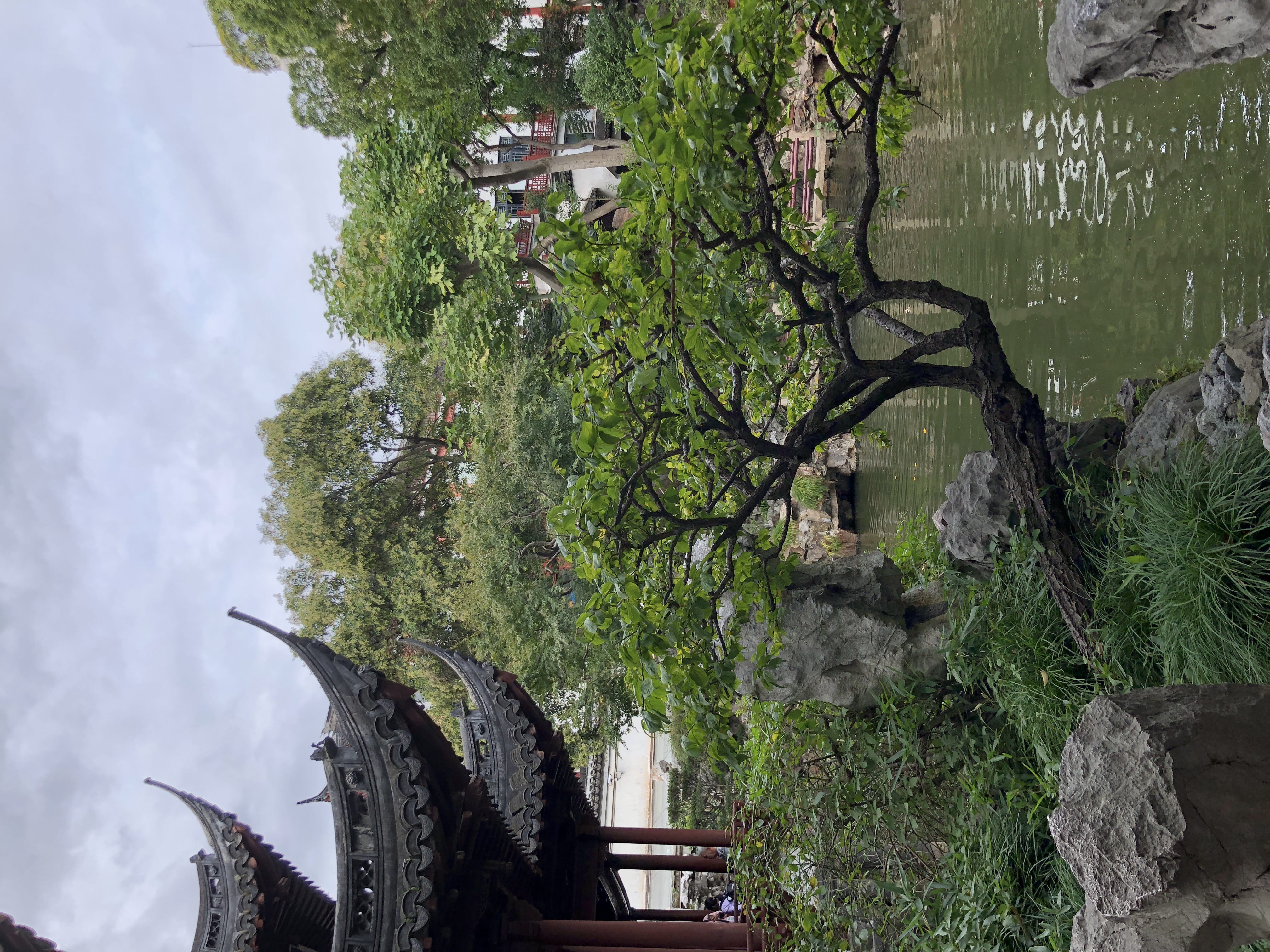 temple, outdoors, growth, no people, 115-131 yuyuan old st, built structure, transportation, architecture, human, tree, Shanghai, nature, branch, day, China, HD Wallpaper