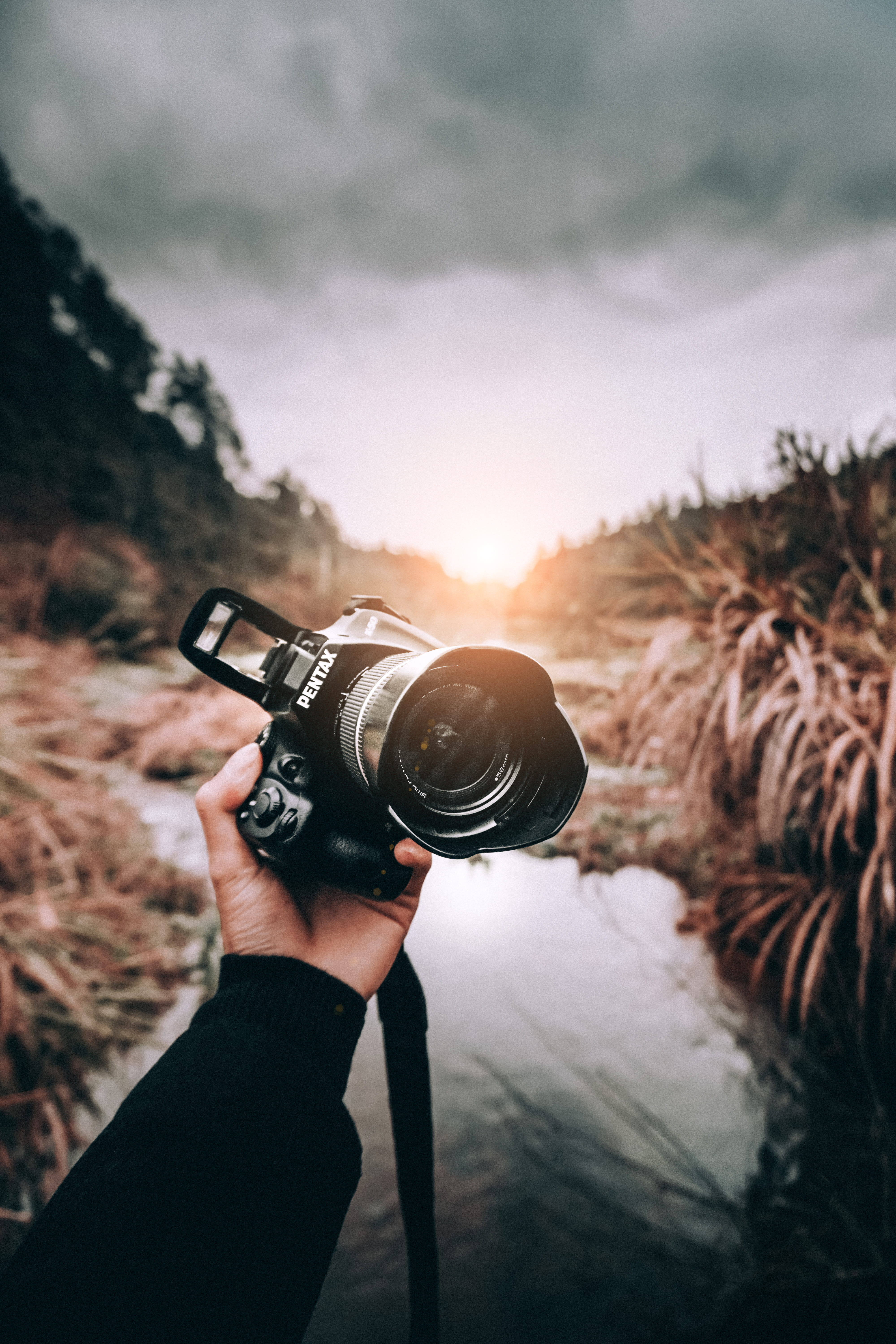 bird, camera - photographic equipment, hand, technology, animal, face, hunting, holding, digital camera, birch, photo, electronics, photography themes, Phone HD Wallpaper