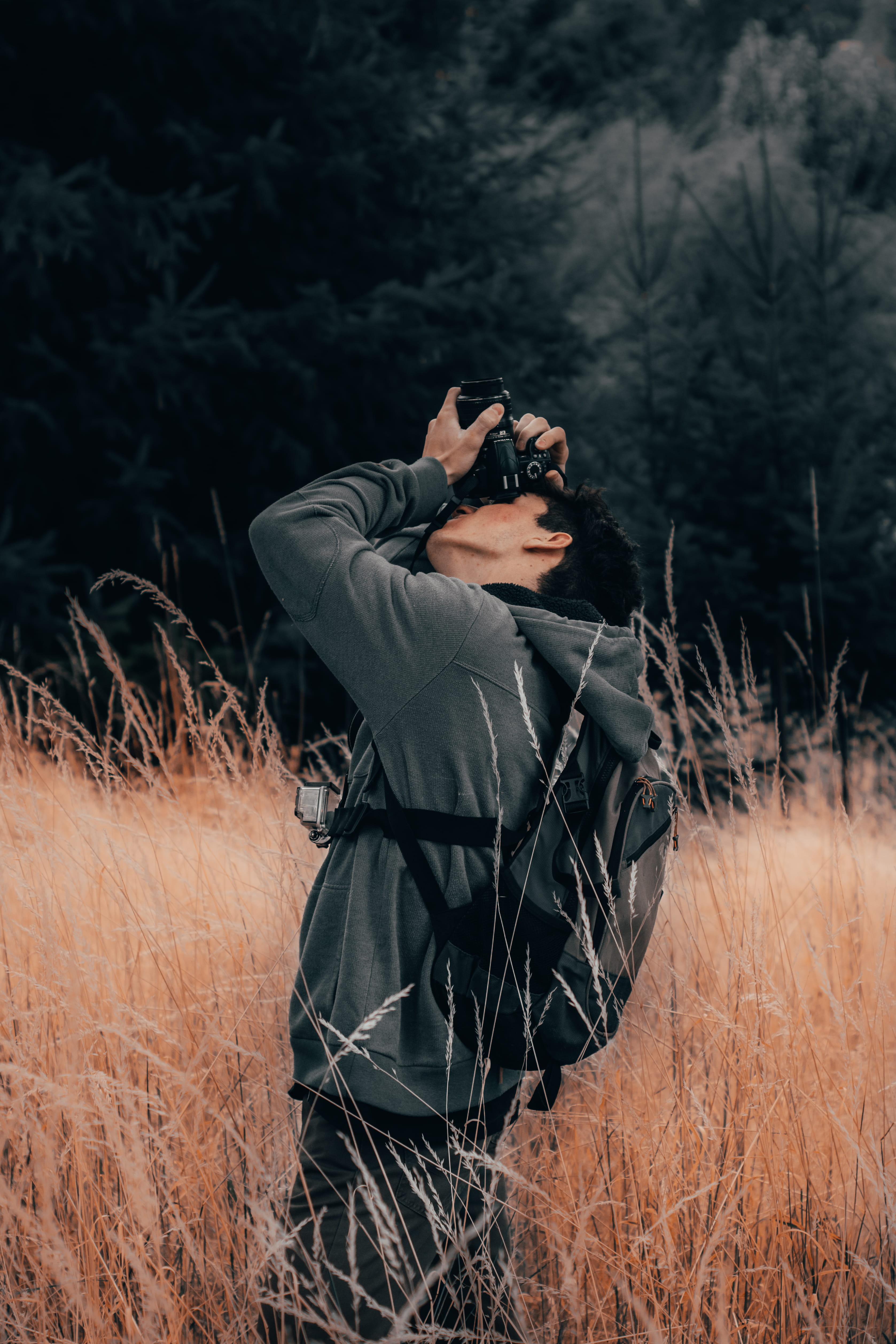 tree, reed, glasses, lawn, camera, human, leisure activity, nature, grass, real people, animal, adult, mallard, activity, photography, using, sitting, photographer, Phone HD Wallpaper