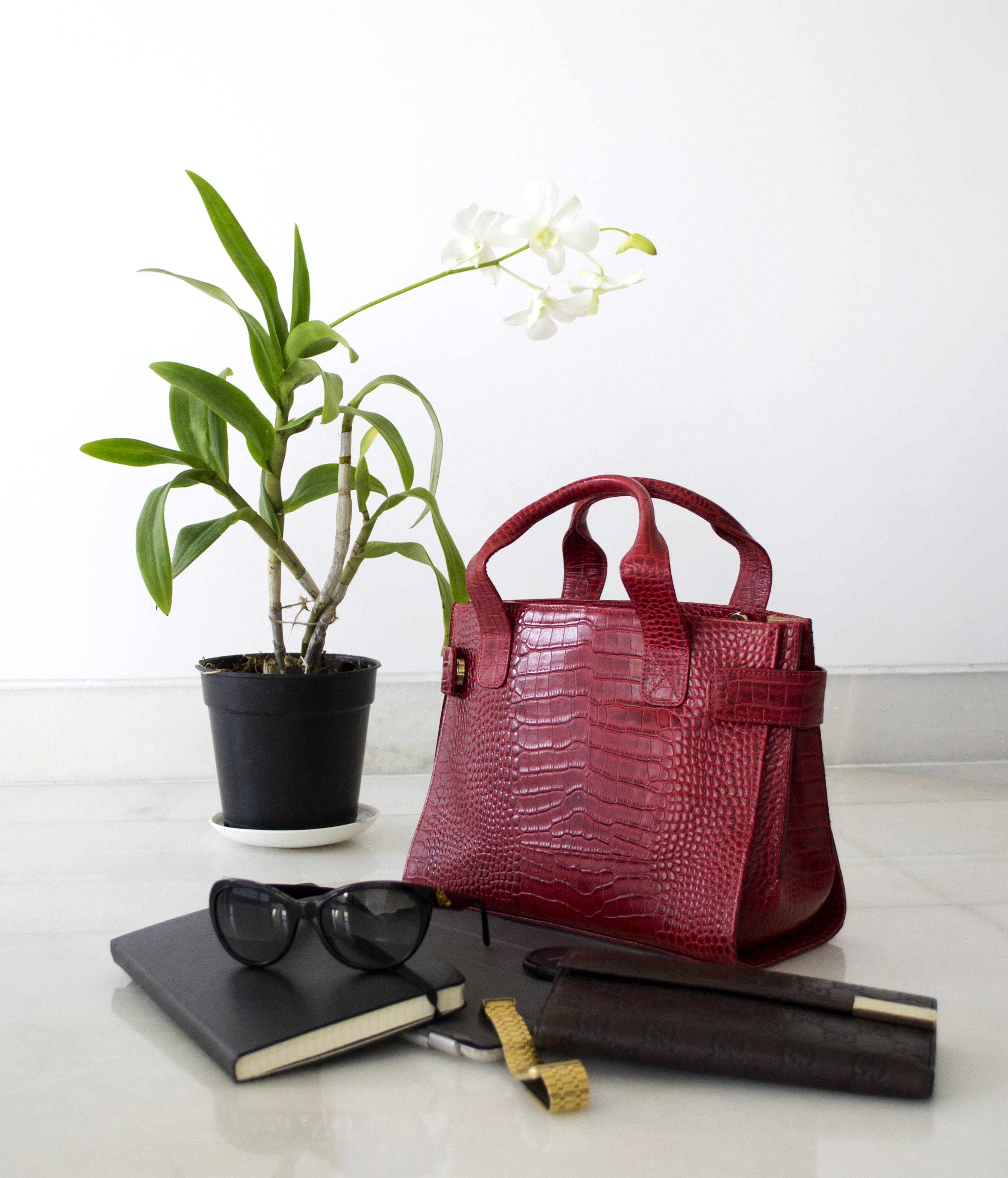 metal, leaf, can, white, plant, bag, nature, skin, handbag, 2K, green color, houseplant, moth, flower, potted plant, beauty in nature, equipment, black, Phone HD Wallpaper