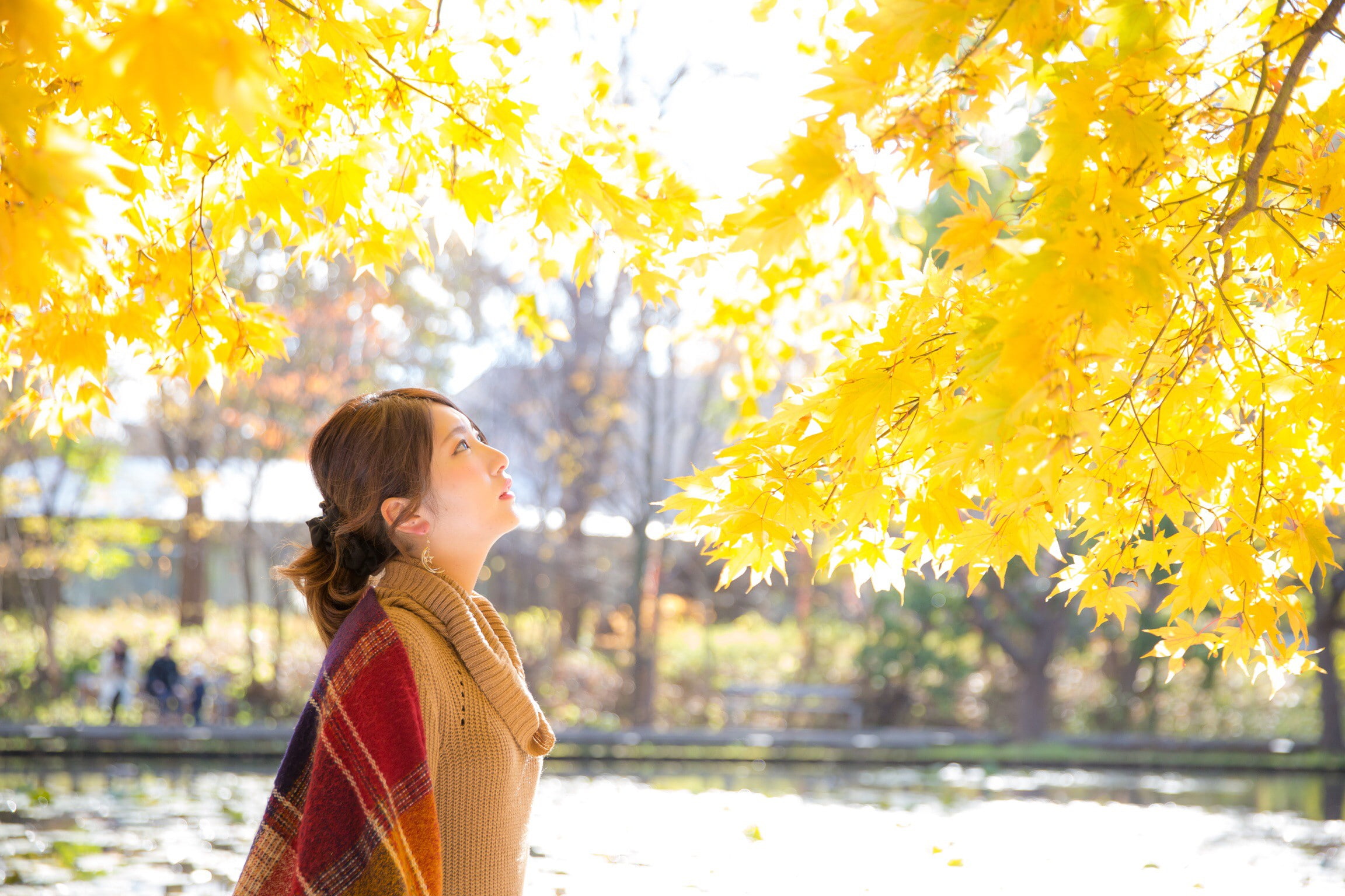 outdoors, Asian, profile view, pullover, lifestyles, nature, looking, women, 1080P, leisure activity, fall, change, one person, brunette, tree, beauty in nature, HD Wallpaper