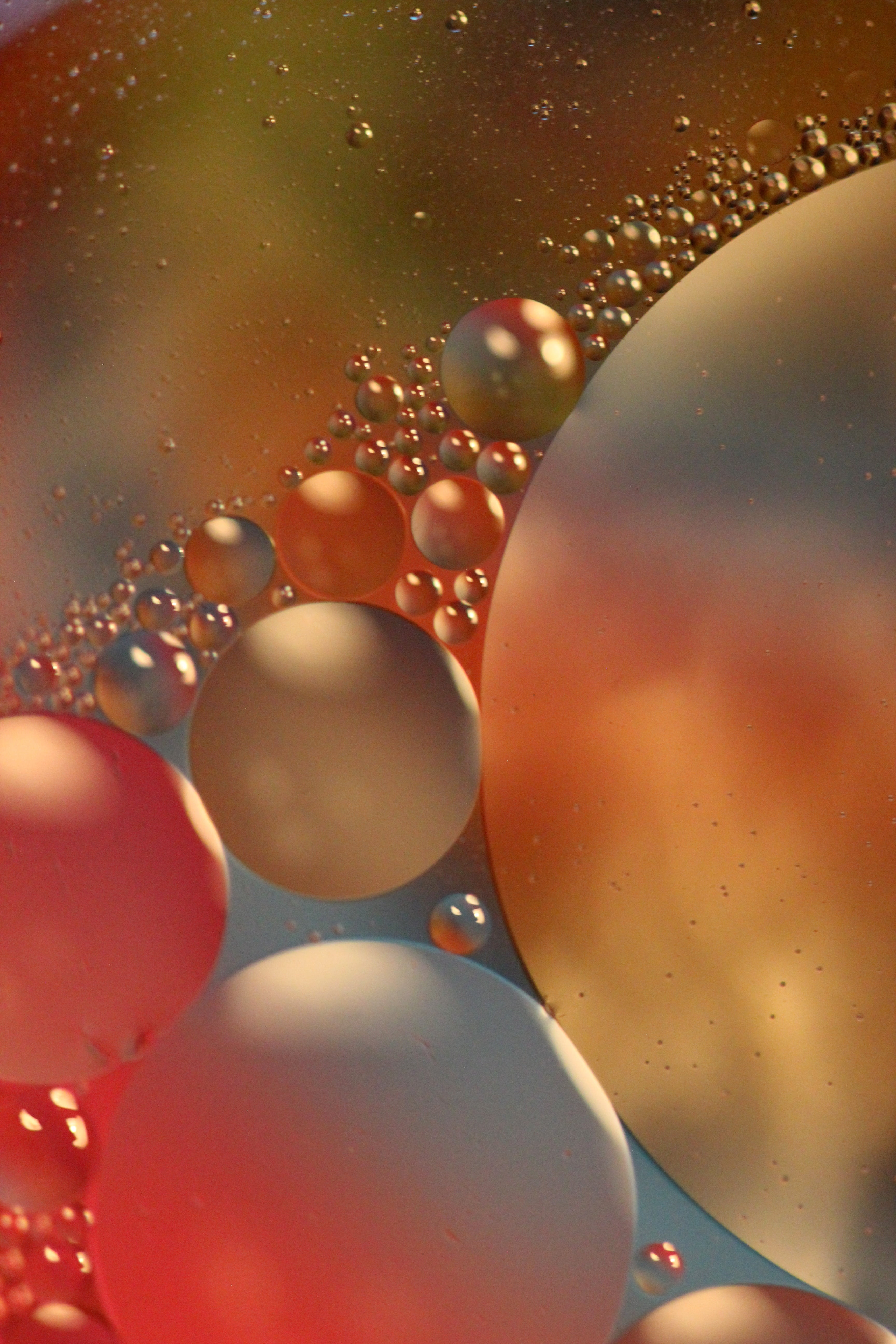 floating, water, oil and water, colour, purity, focus on foreground, full frame, patterns, indoors, food and drink, circle, drops, nature, still life, 5K, Phone HD Wallpaper