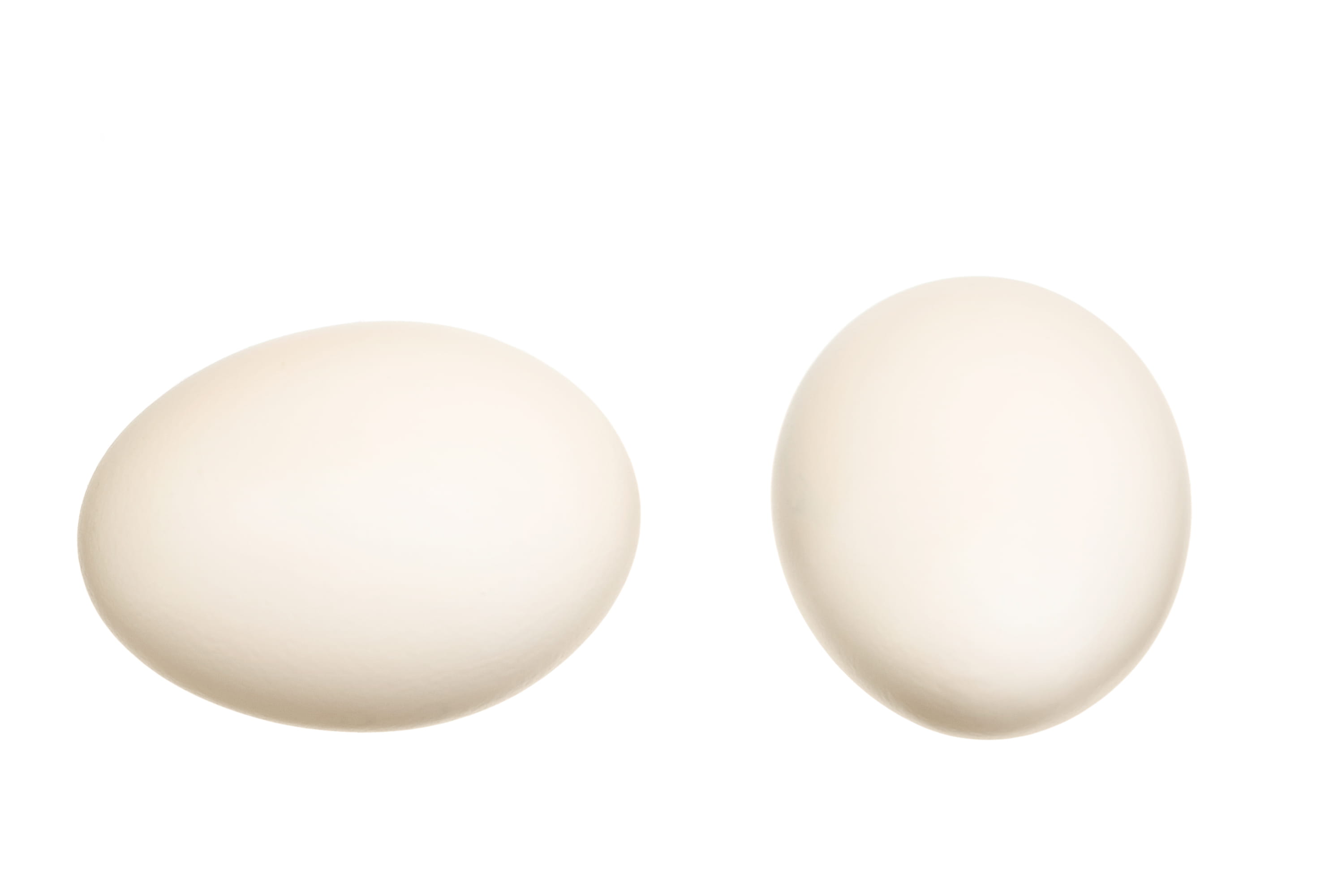 fresh, dairy, close-up, egg, easter, eat, 2K, eggshell, white, indoors, luxury, raw, diner, isolated, single object, fragile, food and drink, healthy, HD Wallpaper