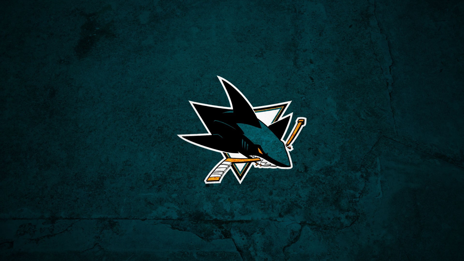 wall - building feature, single object, 1080P, sports, flying, lighting equipment, San Jose Sharks, no people, air vehicle, nature, blue, night, NHL, vignette, HD Wallpaper