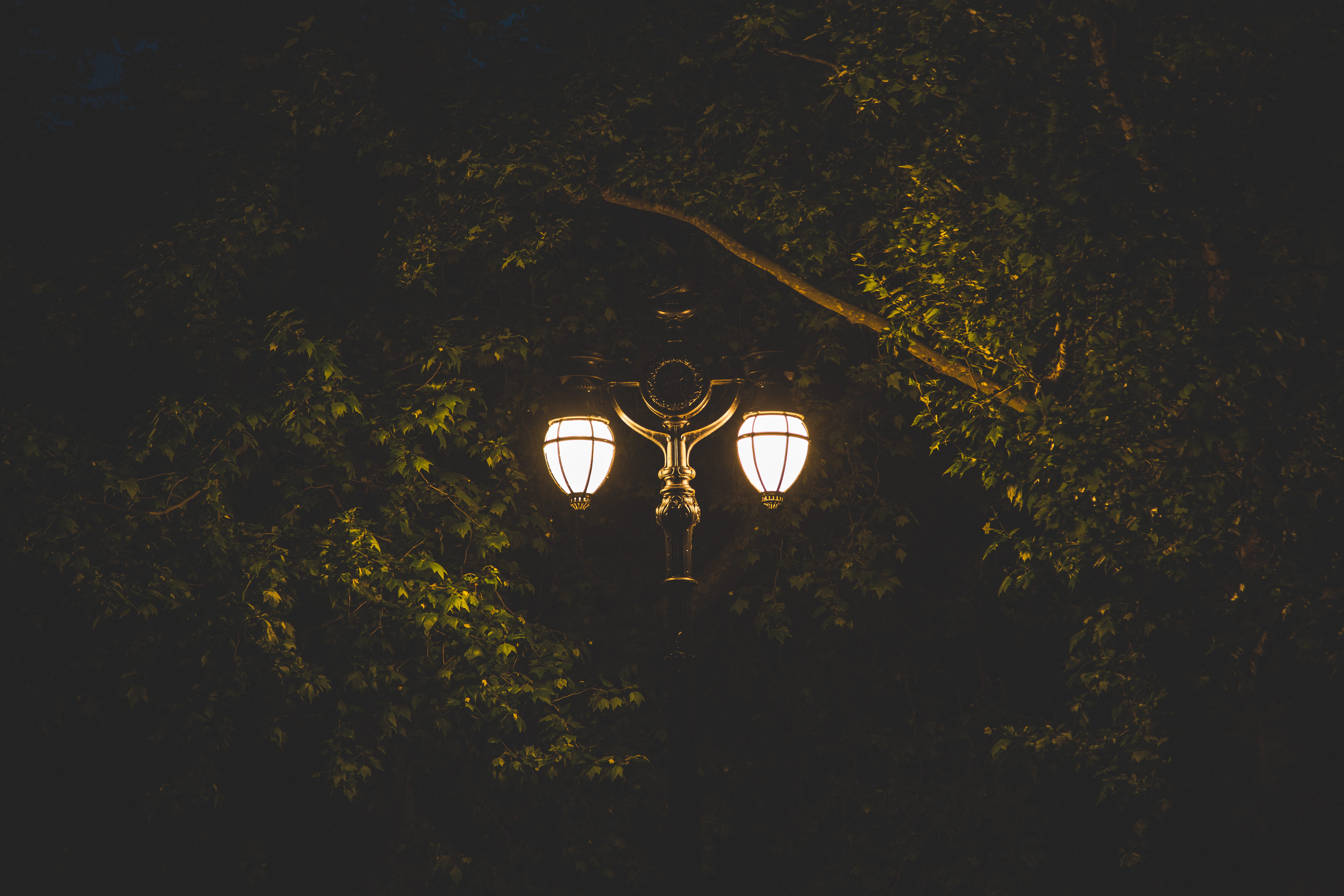 electric lamp, lighted, night, london, outdoors, lampost, green, nighttime, united kingdom, st. jamess park station, low angle view, light, nature, 5K, HD Wallpaper