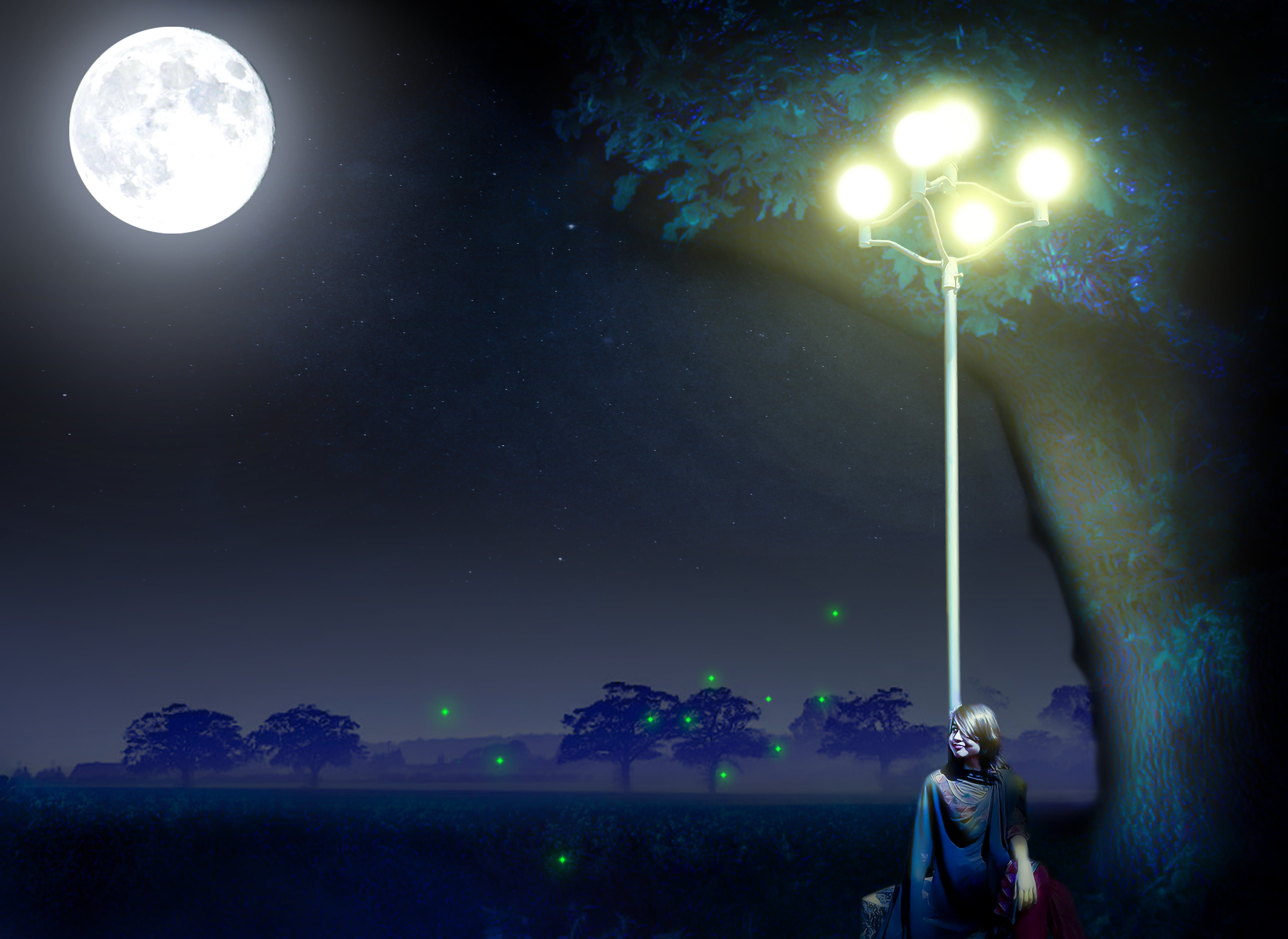 star - space, light, planetary moon, peaceful, digital composite, woman, standing, lighting equipment, people, sky, lamp, post, star, tree, spotlight, full moon, HD Wallpaper