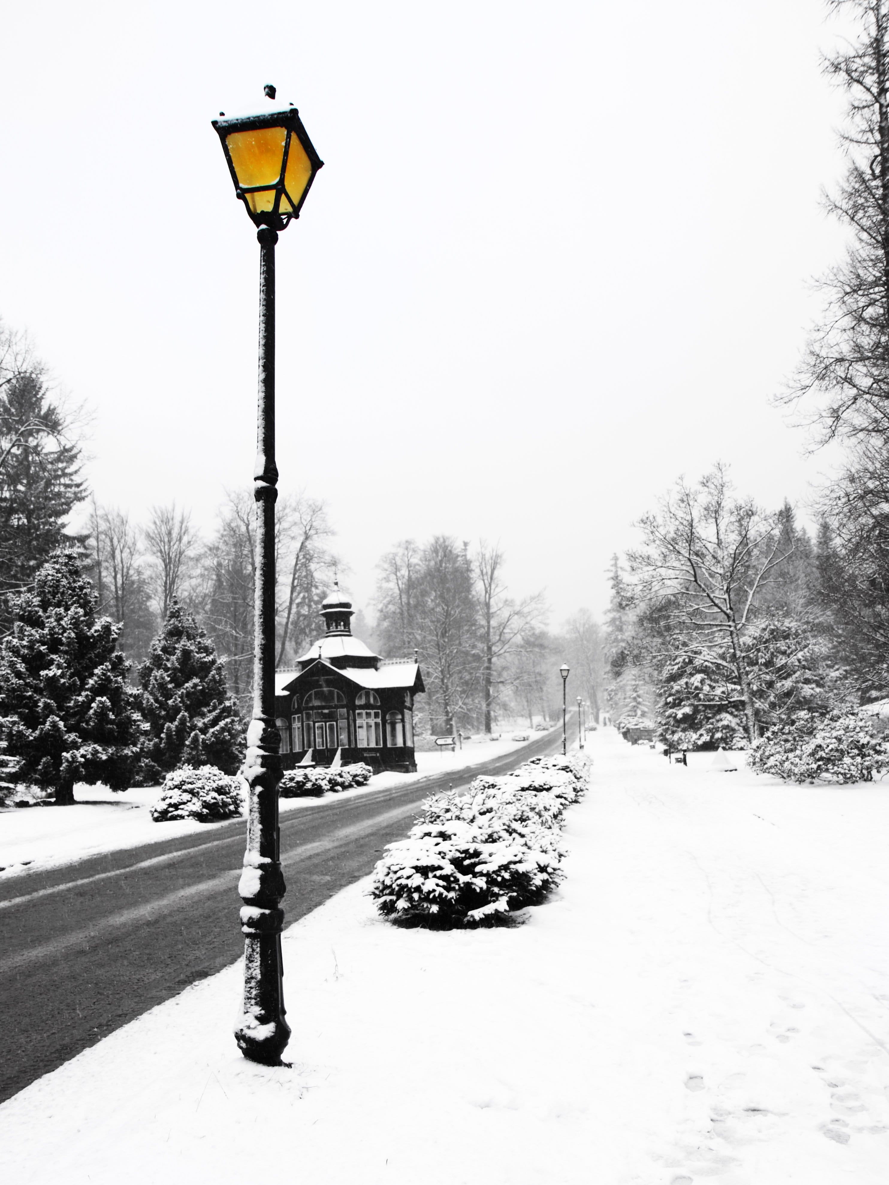 glow, romance, road, covering, post, lamp, the way forward, outdoors, day, plant, street, Architecture, street light, lantern, romantic, park, black, old, Phone HD Wallpaper