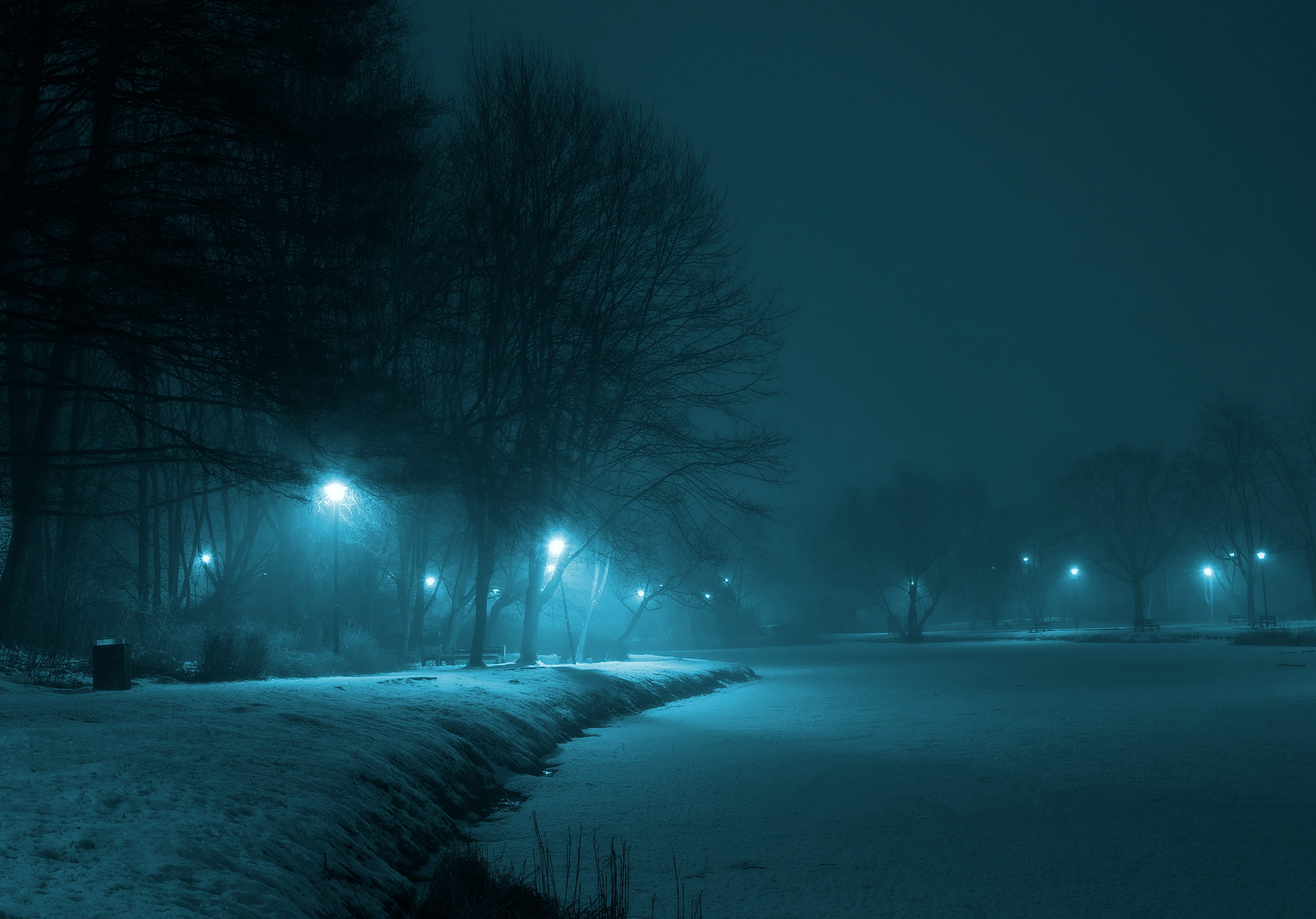 illuminated, blizzard, near, ice, municipal, light, frozen, surrounded, the fog, environment, snow, konary, extreme weather, the path of the, turned, outdoors, HD Wallpaper