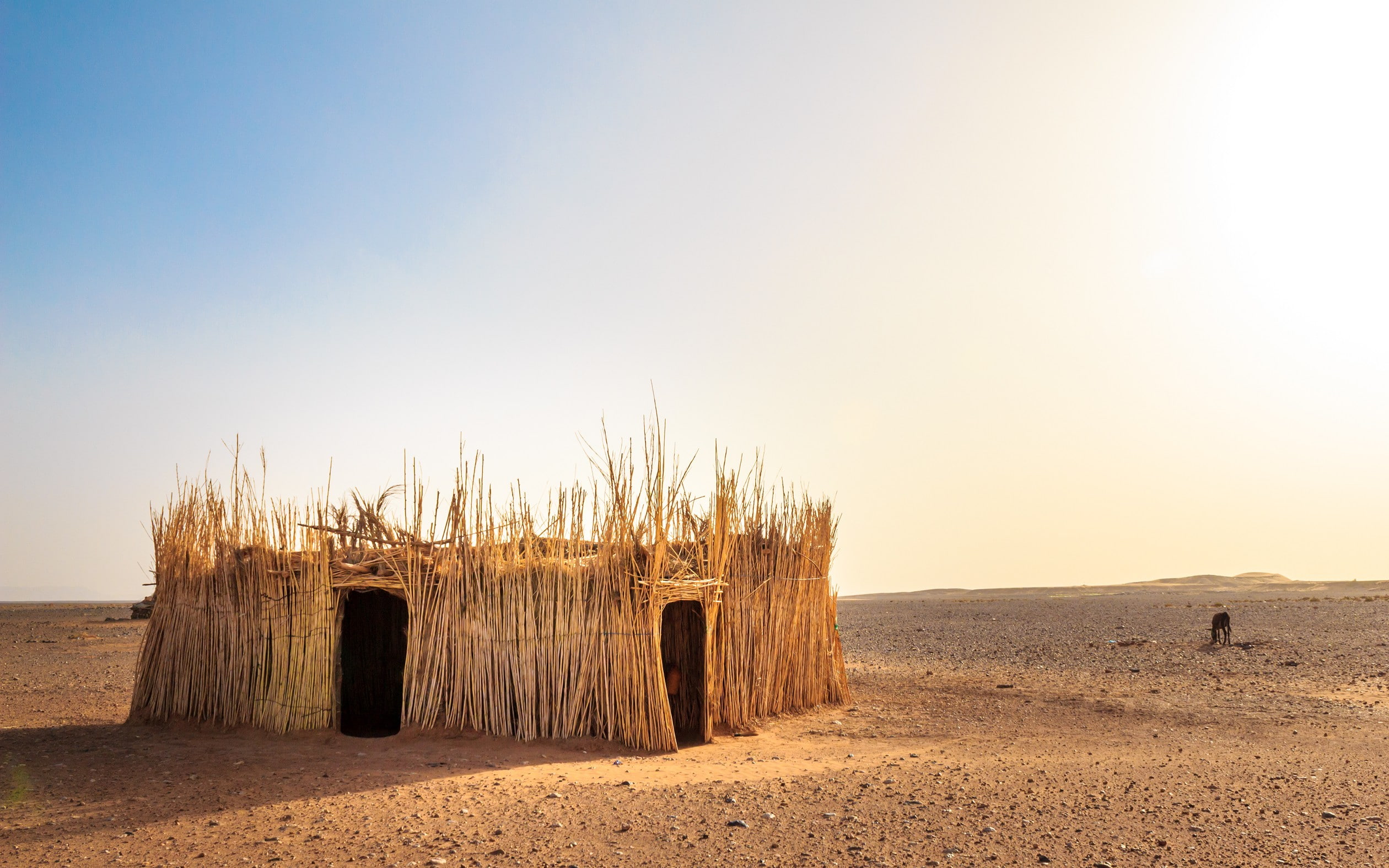 Sahara, water, wood - material, scenics - nature, horizon, no people, sand, day, sky, nature, sea, 1080P, outdoors, land, environment, post, wooden post, HD Wallpaper