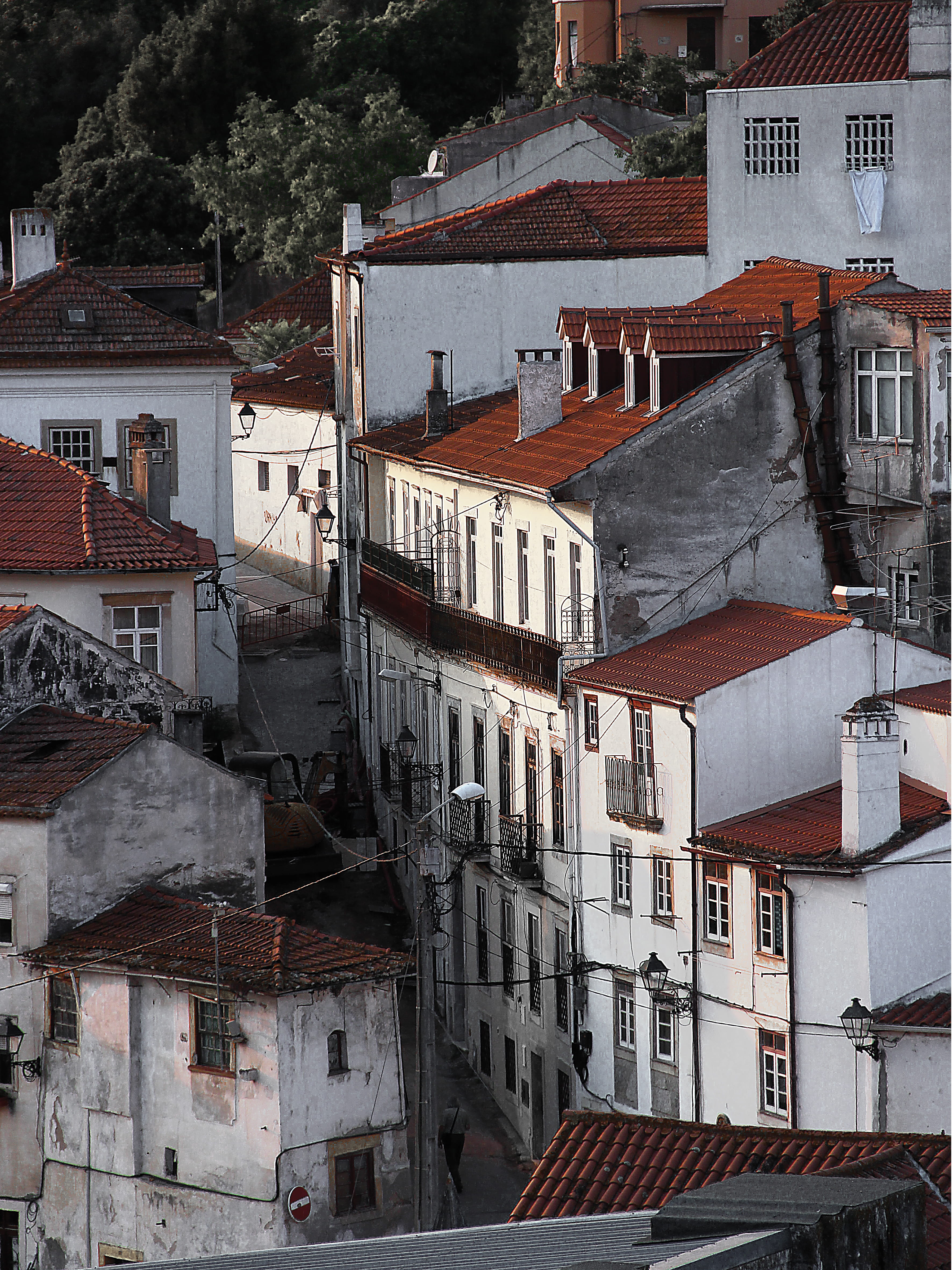 townscape, roof tile, no people, roof, day, built structure, narrow, town, community, nature, alley, windows, walls, homes, trees, roofs, buildings, tree, Phone HD Wallpaper