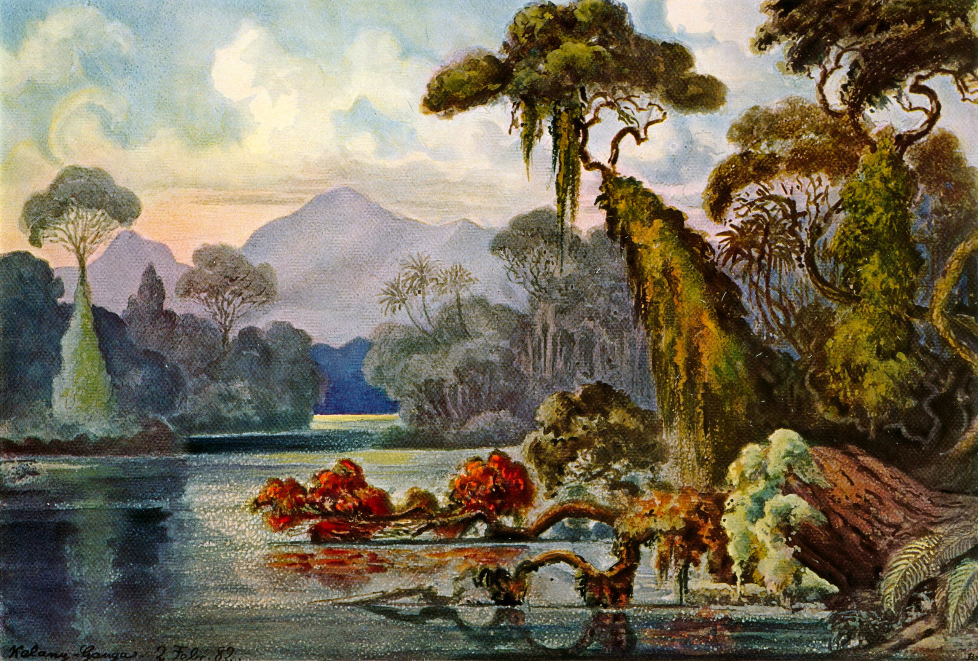 water, watercolor Painting, outdoors, cultures, ceylon, art, old, asia, old-fashioned, river, lithography, scenics, pond, forest, ernst haeckel, nature, HD Wallpaper