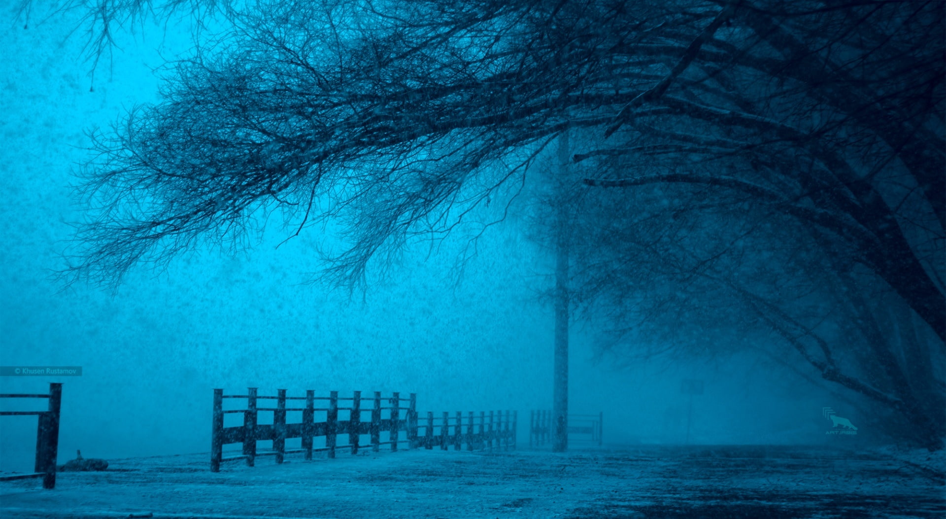 park bench, russia, no people, khusen rustamov, bare, nature, absence, irbis, tranquility, tree, bare tree, plant, snow, empty, seat, winter2015, HD Wallpaper