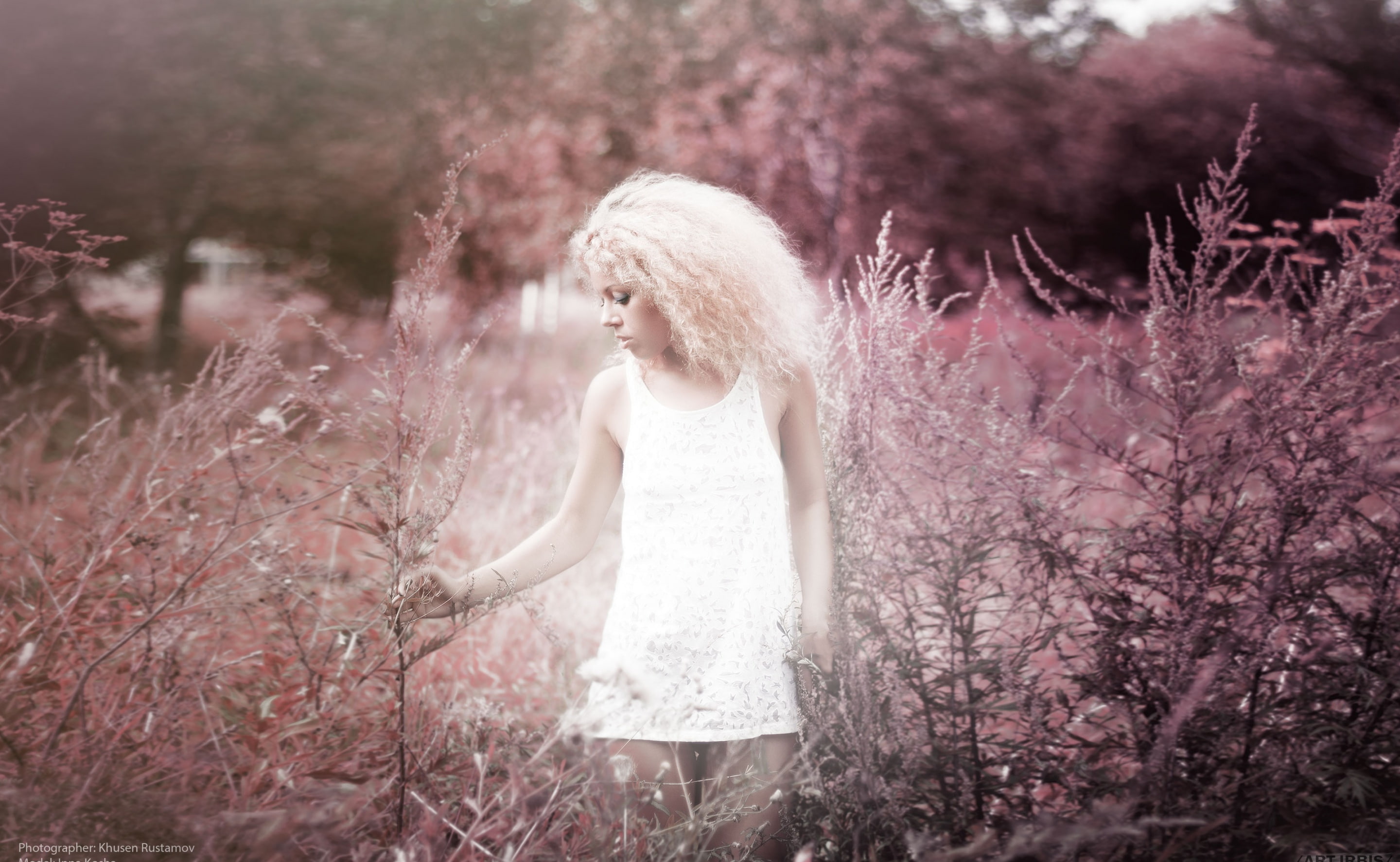 2K, Girls, Style, plant, angel, tank, forest, dress, top, art, beautiful woman, Flower, standing, bush, nature, young adult, production, outdoors, three quarter length, HD Wallpaper