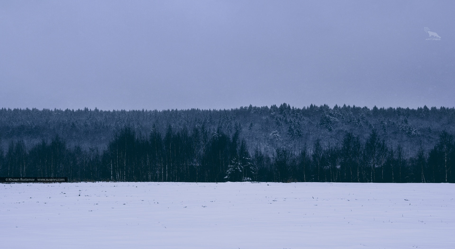 environment, snowing, non-urban scene, travelphotography, trees, production, woodland, pine, khusen rustamov, snow, 1080P, green, woods, tree, snowlandscape, HD Wallpaper