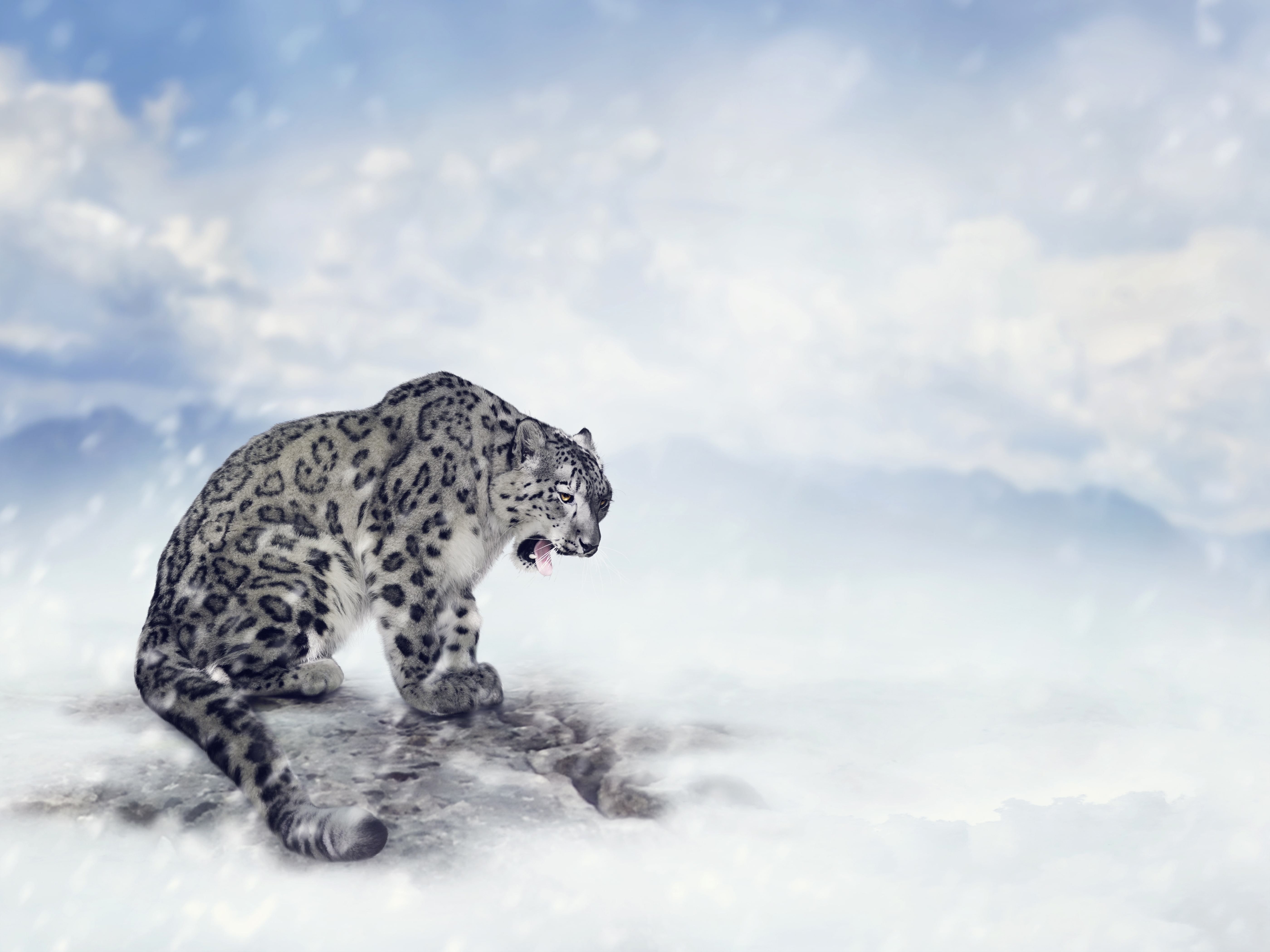 IRBIS, mountains, snow, bokeh, predator, clouds, snow leopard, 5K, HD Wallpaper