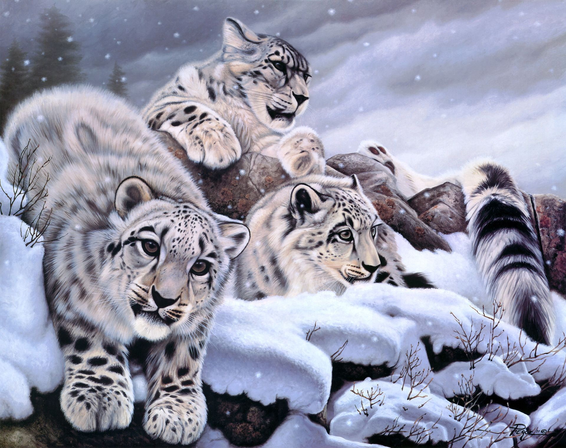 winter, group of animals, vertebrate, big cat, no people, three, art, 1080P, snow leopard, animal themes, cubs, black, animal family, snow, tiger, animals in the wild, HD Wallpaper