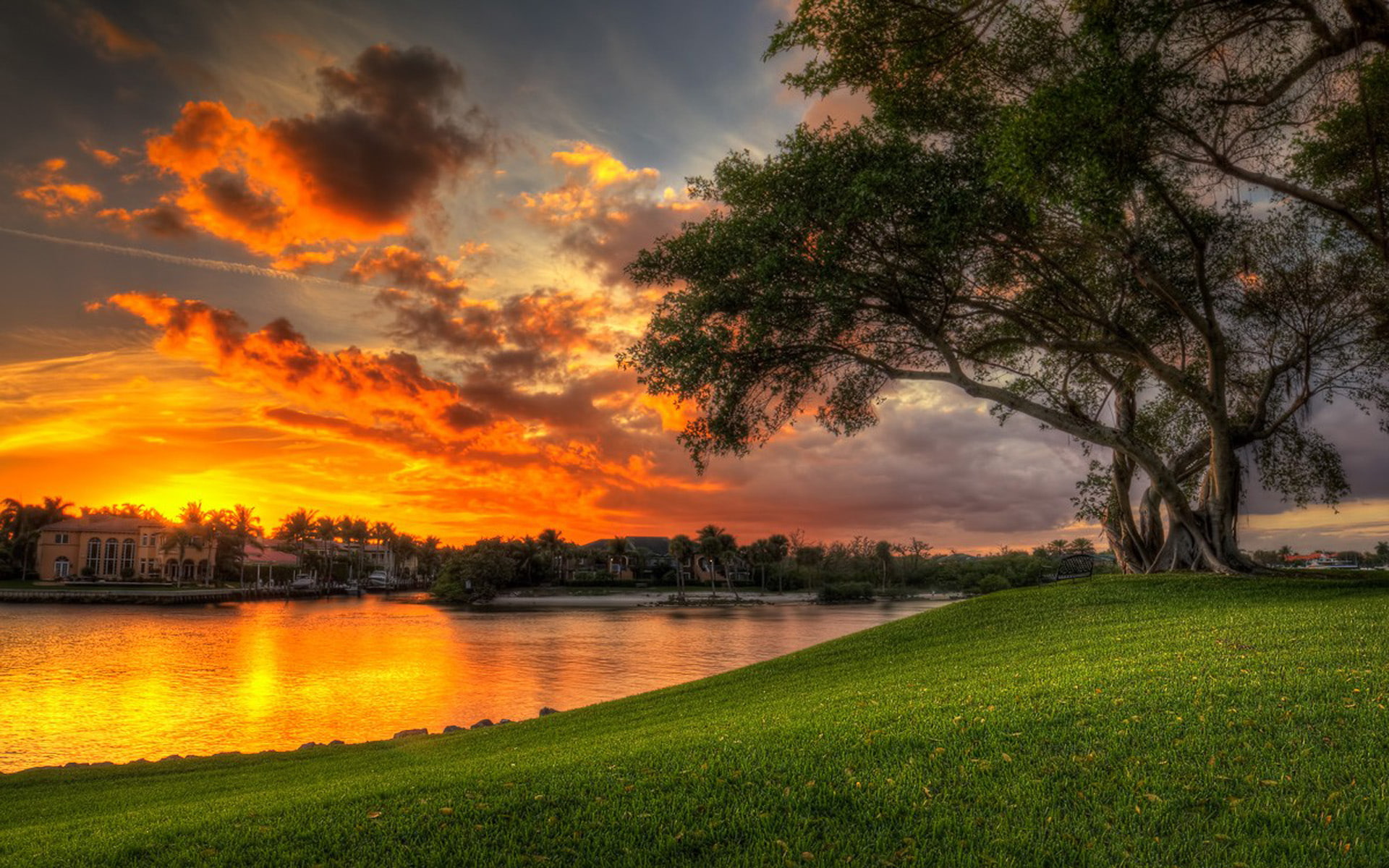 reflection, sunset, villa, coast, hd, palm, desktop, beautiful, water, green, 1080P, clouds, tree, meadow, red, lake, HD Wallpaper