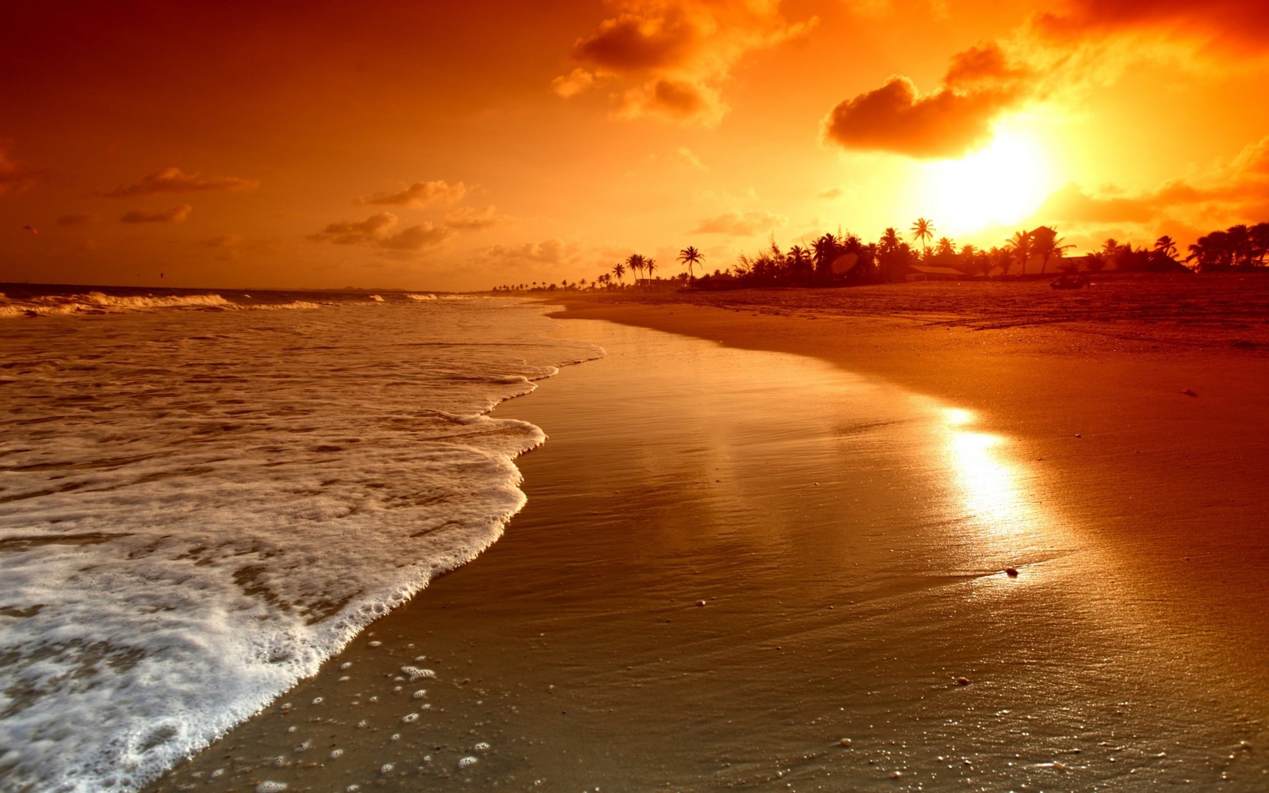 beautiful, landscape, water, 2K, sky, clouds, scene, beach, sunrise, waves, palms, sunset, sea, nature, HD Wallpaper