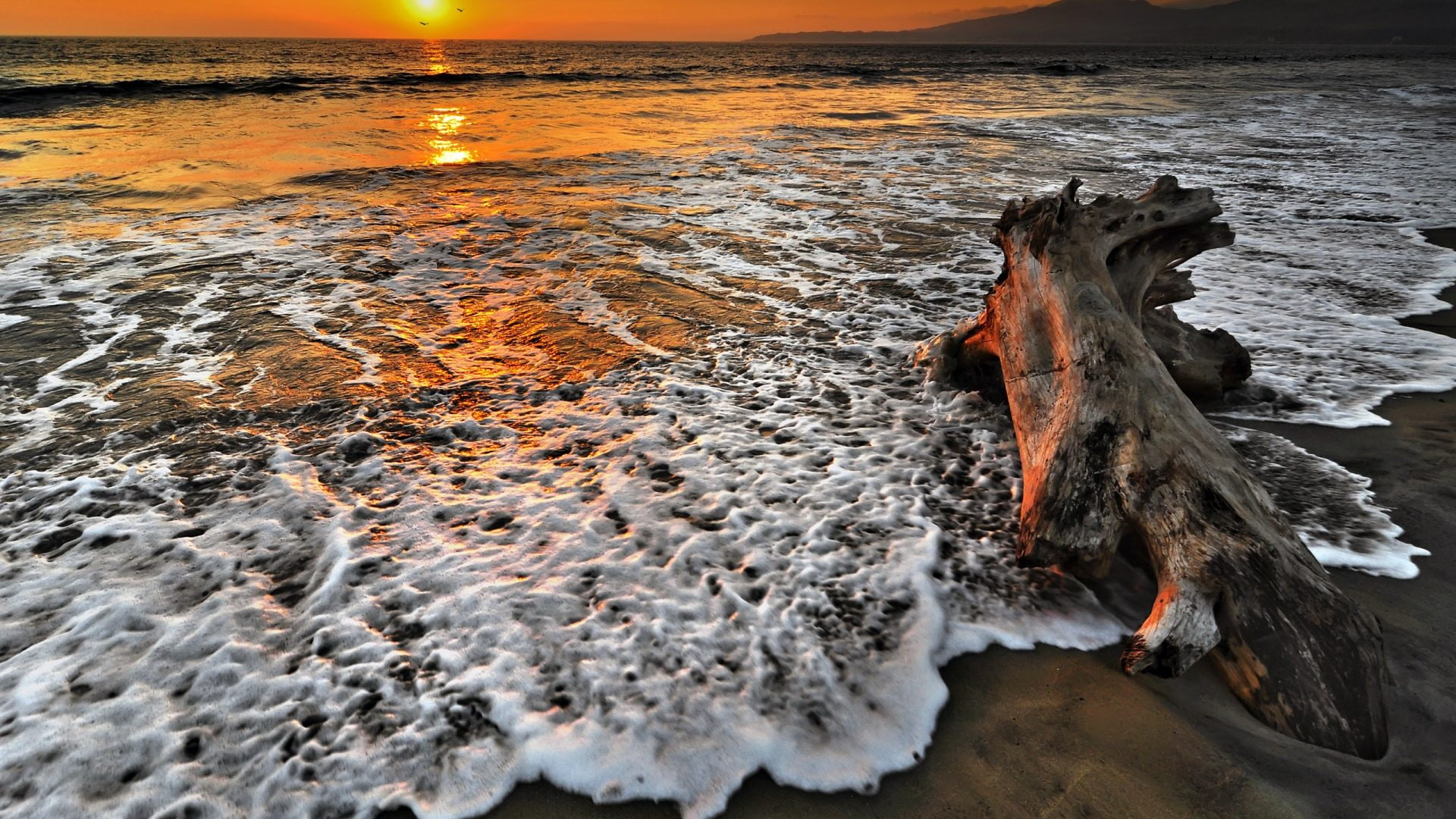 puerto, mexico, hd, america, 1080P, south, sunset, beach, vallarta, beaches, HD Wallpaper