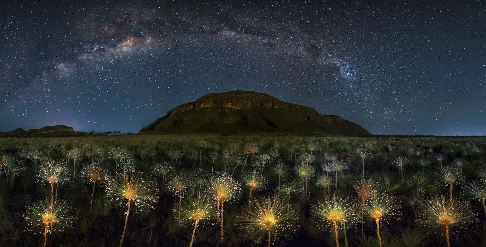 mountain peak, Milky Way, scenics - nature, space, flowers, dark, space and astronomy, star, mountain, tranquil scene, nature, sky, night, no people, astronomy, HD Wallpaper
