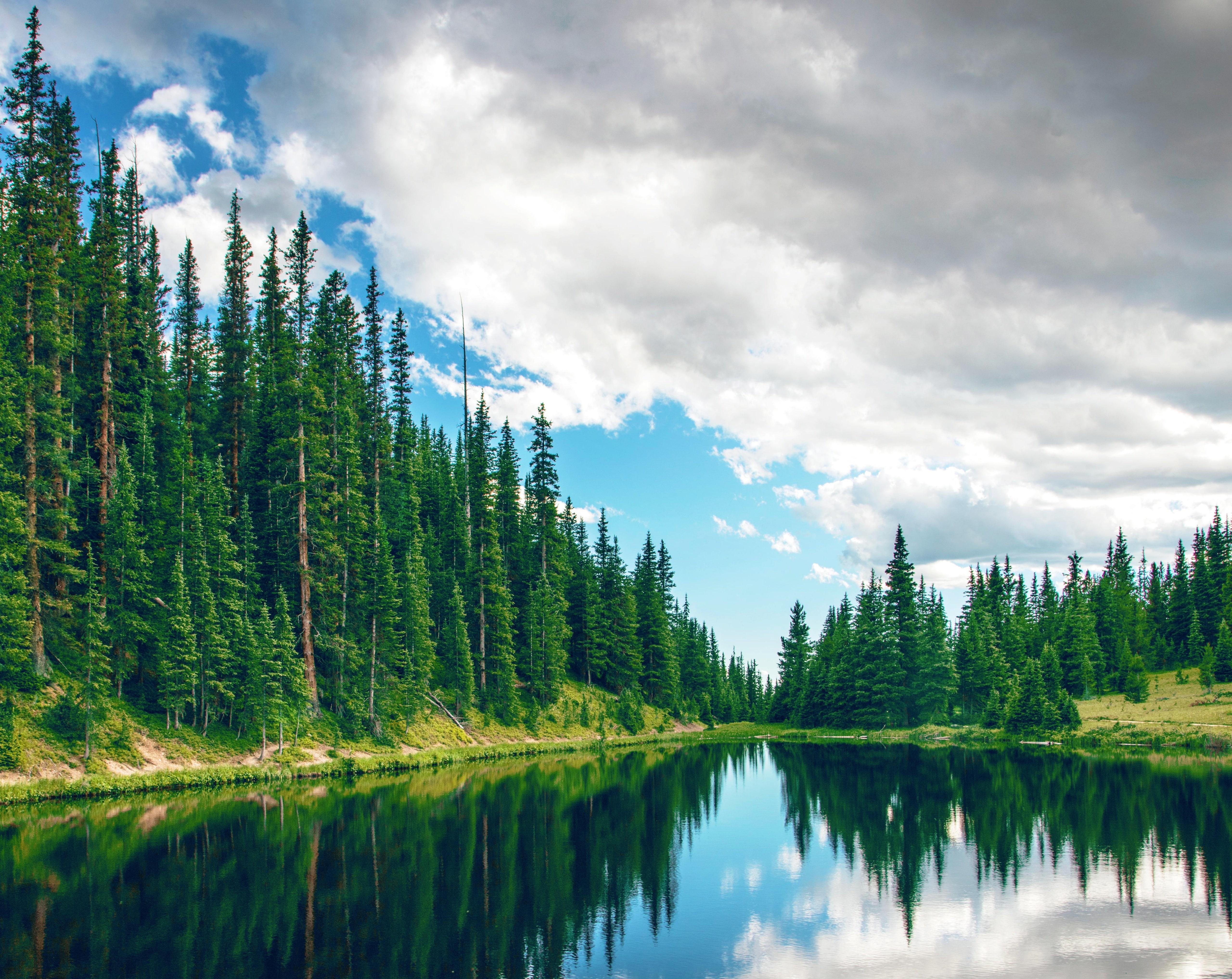 nature, United States, 5K, naturepark, Lake, beauty in nature, water, green color, bergsee, coniferous tree, growth, nationalpark, tranquility, scenics - nature, HD Wallpaper