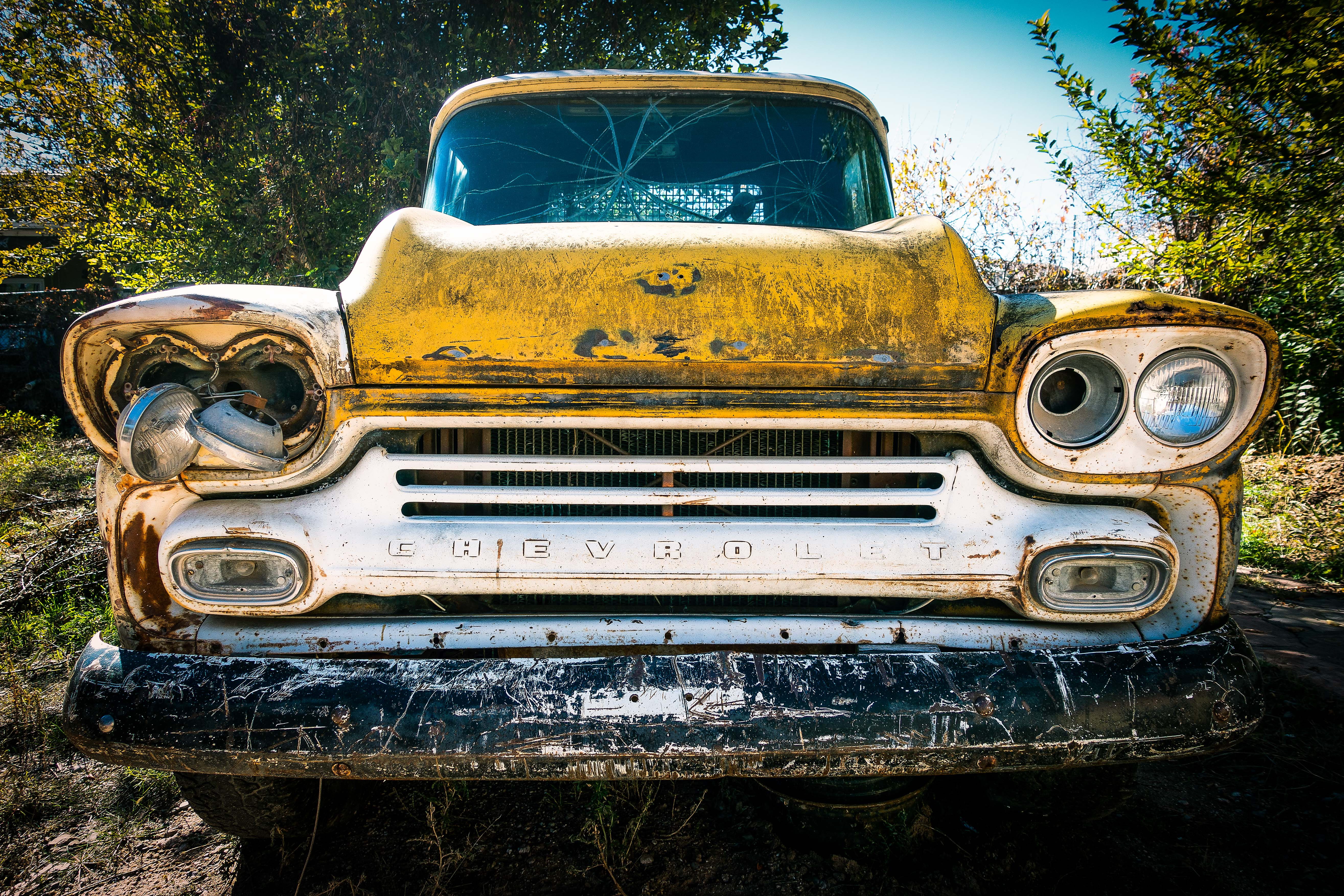 plant, Chevrolet, metal, deterioration, retro Styled, rusty, front view, antique, tree, obsolete, bumper, land Vehicle, car, run-down, headlight, old-fashioned, HD Wallpaper