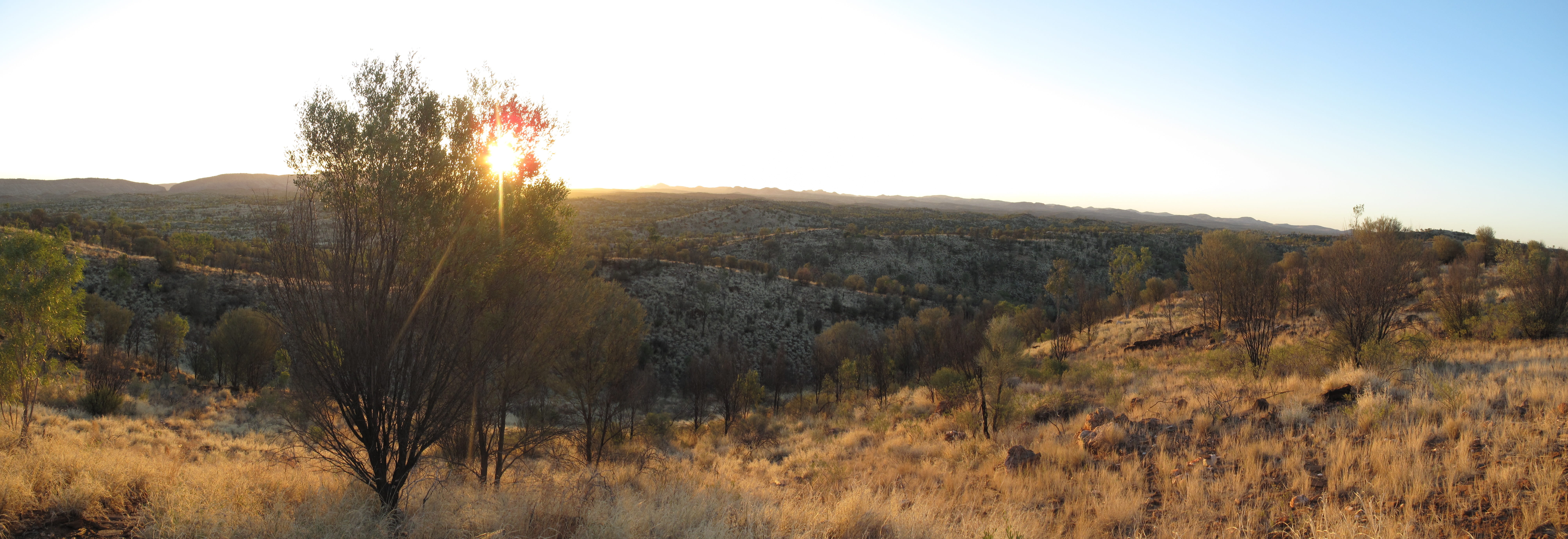 nature, sunlight, grass, panorama, outback, alice springs, sunset, travel destinations, semi-arid, australia, beauty in nature, tree, sun, 8K, environment, HD Wallpaper