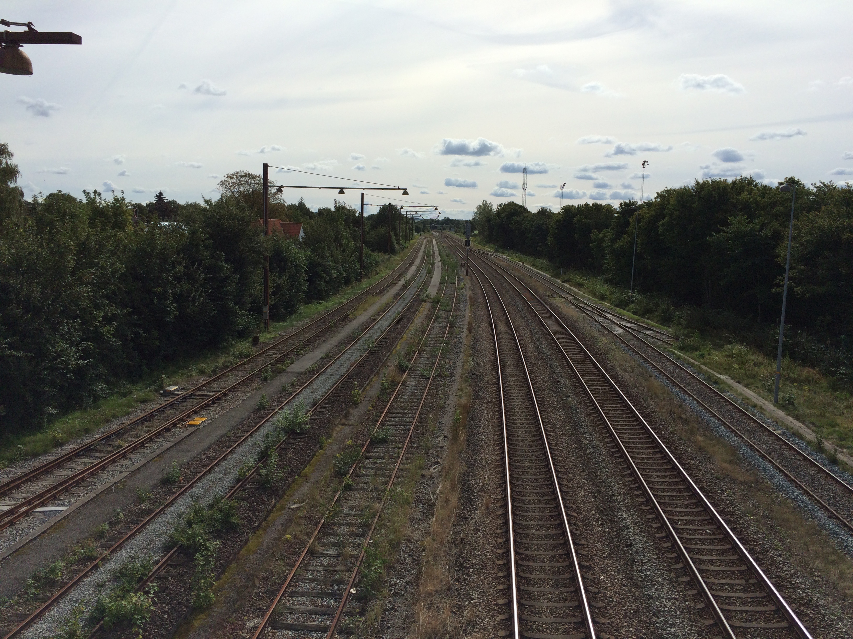 diminishing perspective, trains, sky, direction, 2K, outdoors, green color, train, rail transportation, day, growth, track, power supply, mode of transportation, HD Wallpaper
