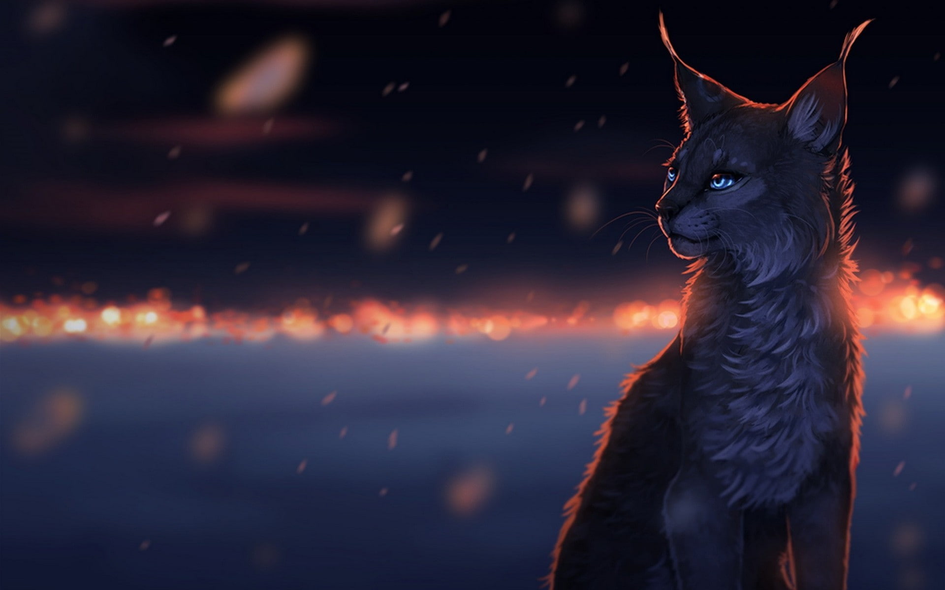outdoors, whisker, domestic cat, focus on foreground, mammal, alertness, one animal, no people, cat, looking away, nature, 1080P, animal themes, domestic animals, HD Wallpaper