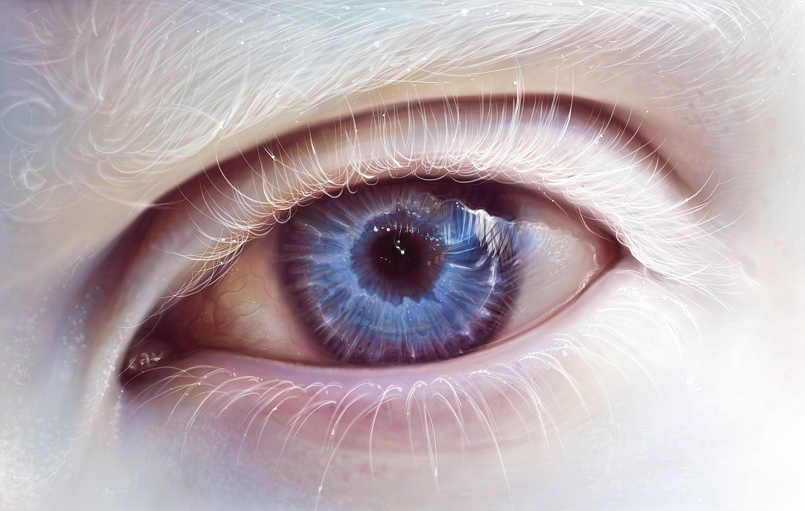 albino, eyes, 2K, HD Wallpaper