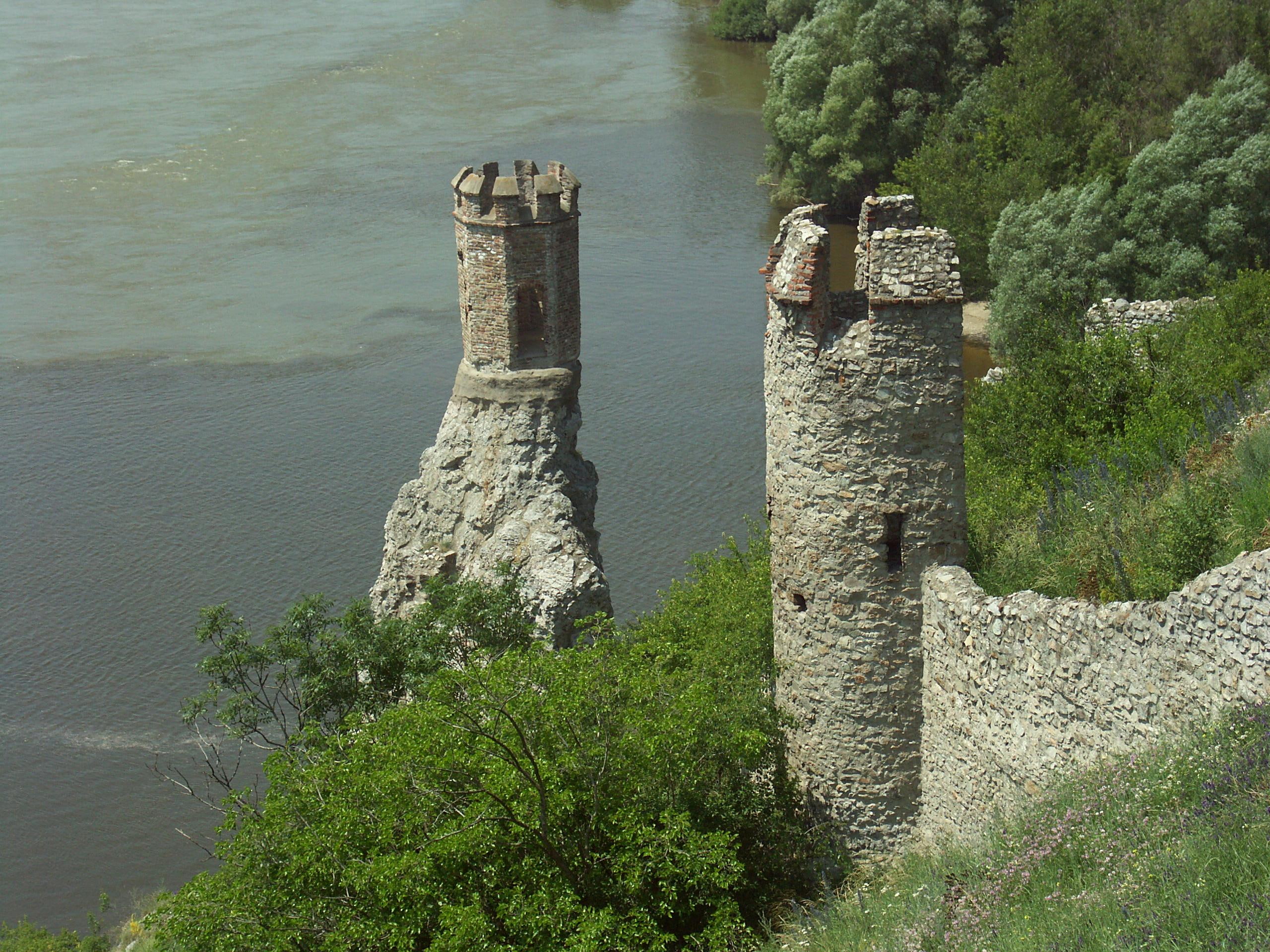 n, animals, slovakia, 2K, catle, devin, dev, castle, HD Wallpaper