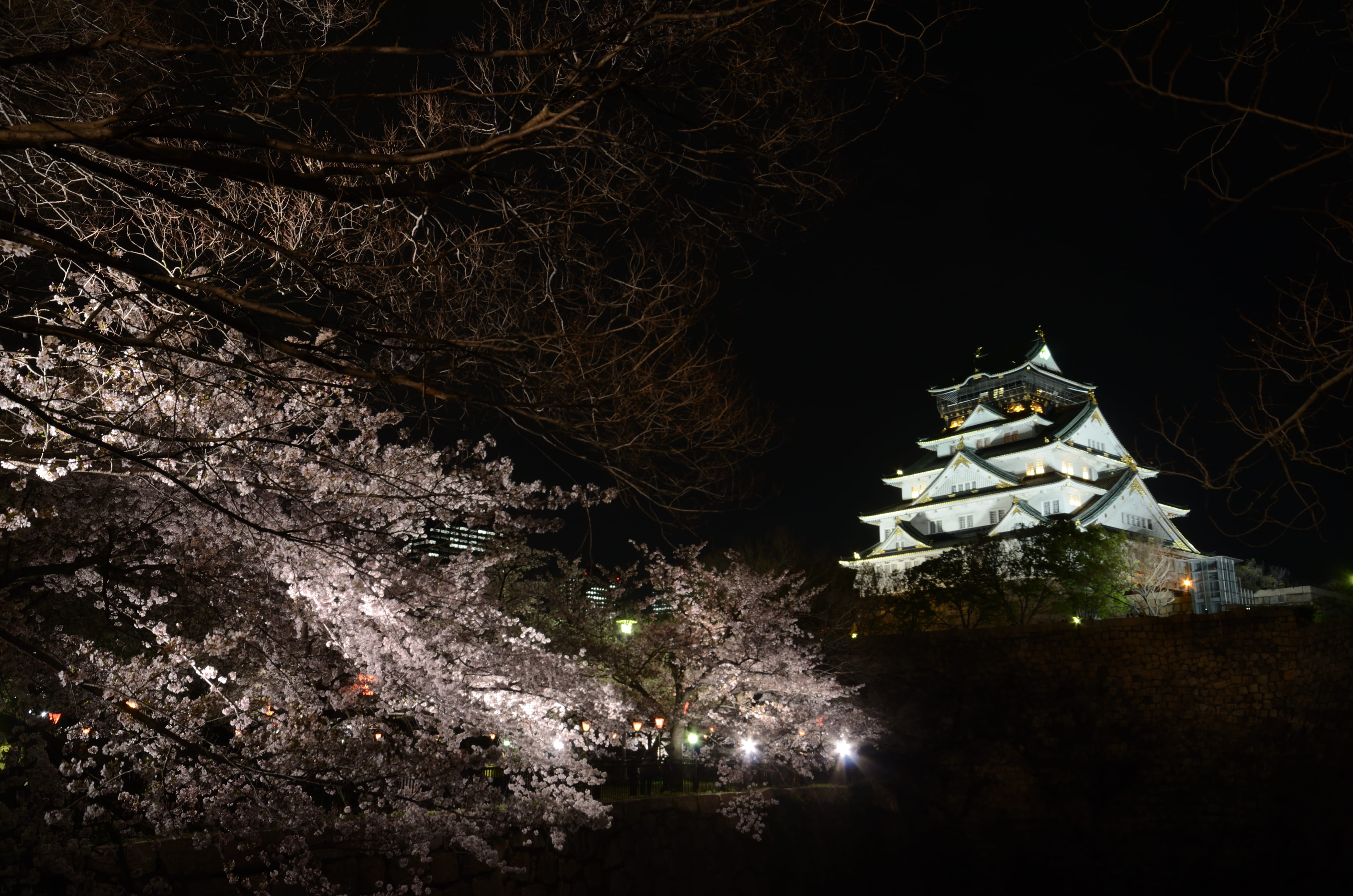 built structure, outdoors, christmas, no people, winter, snow, beauty in nature, night, cold temperature, osaka castle, castle, growth, tree, plant, architecture, HD Wallpaper