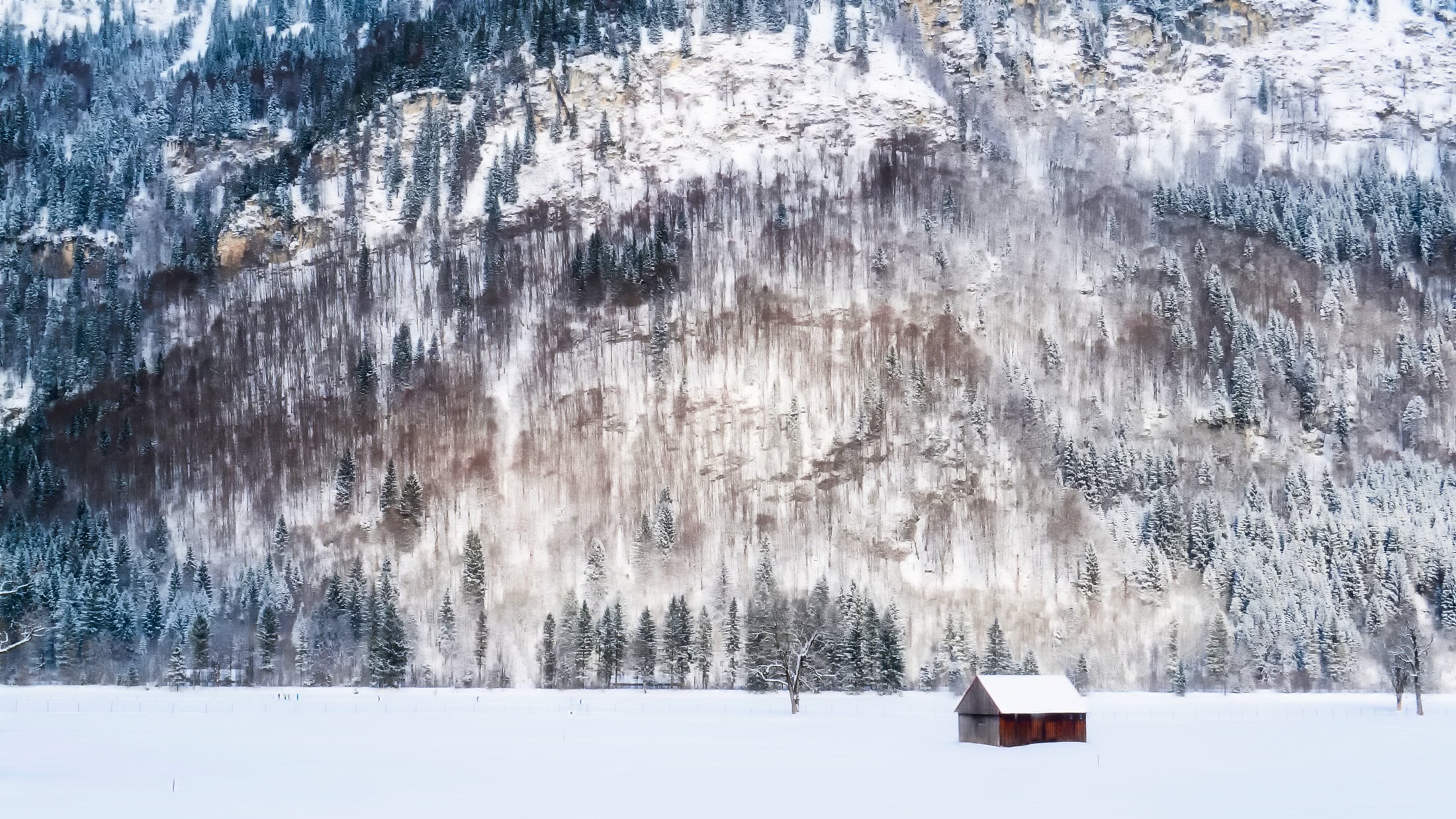 scenic, scenics, beautiful, panorama, germany, frozen, trees, brown, country, non-urban scene, cold temperature, 1080P, house, countryside, plant, coniferous tree, HD Wallpaper