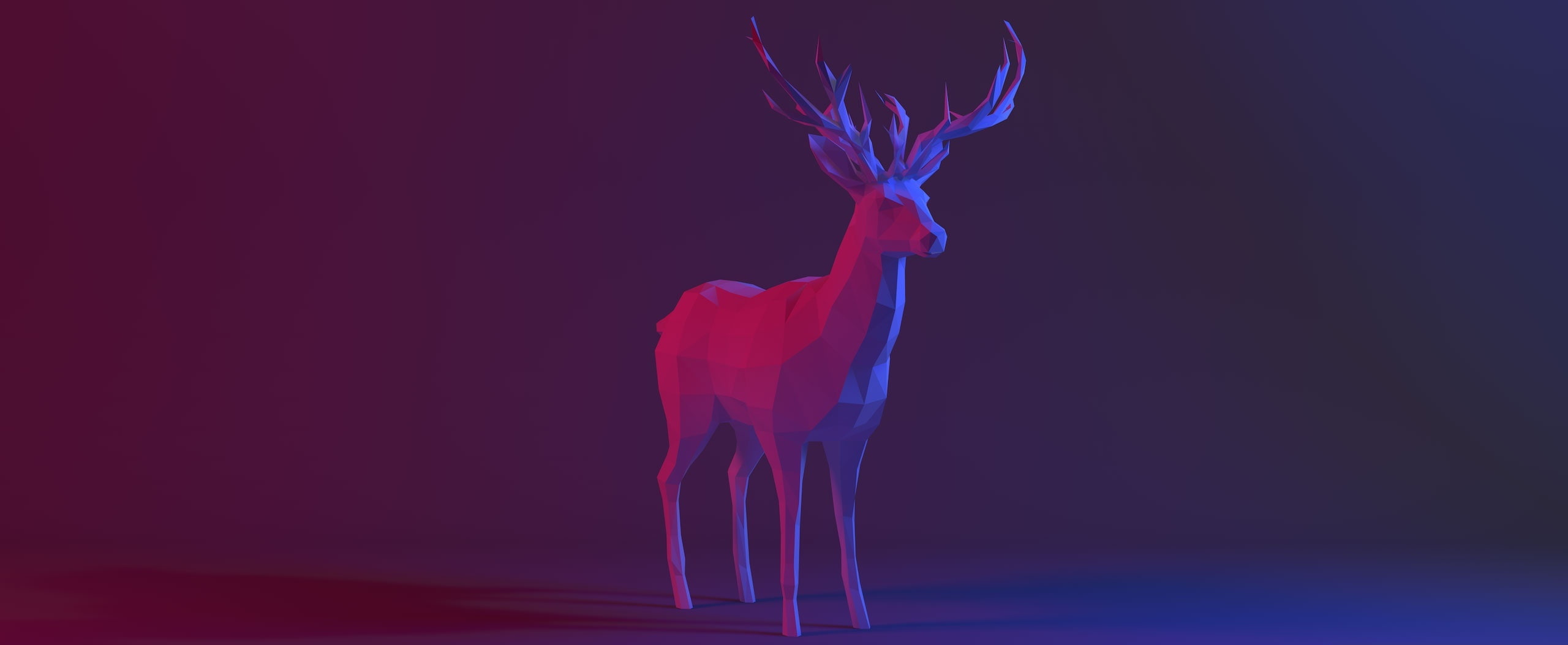 low, ericarts, mammal, no people, 2K, wild, animal, 3D, full length, cinema 4d, Artistic, purple, blue, low poly, beauty in nature, deer, indoors, arts culture and entertainment, HD Wallpaper