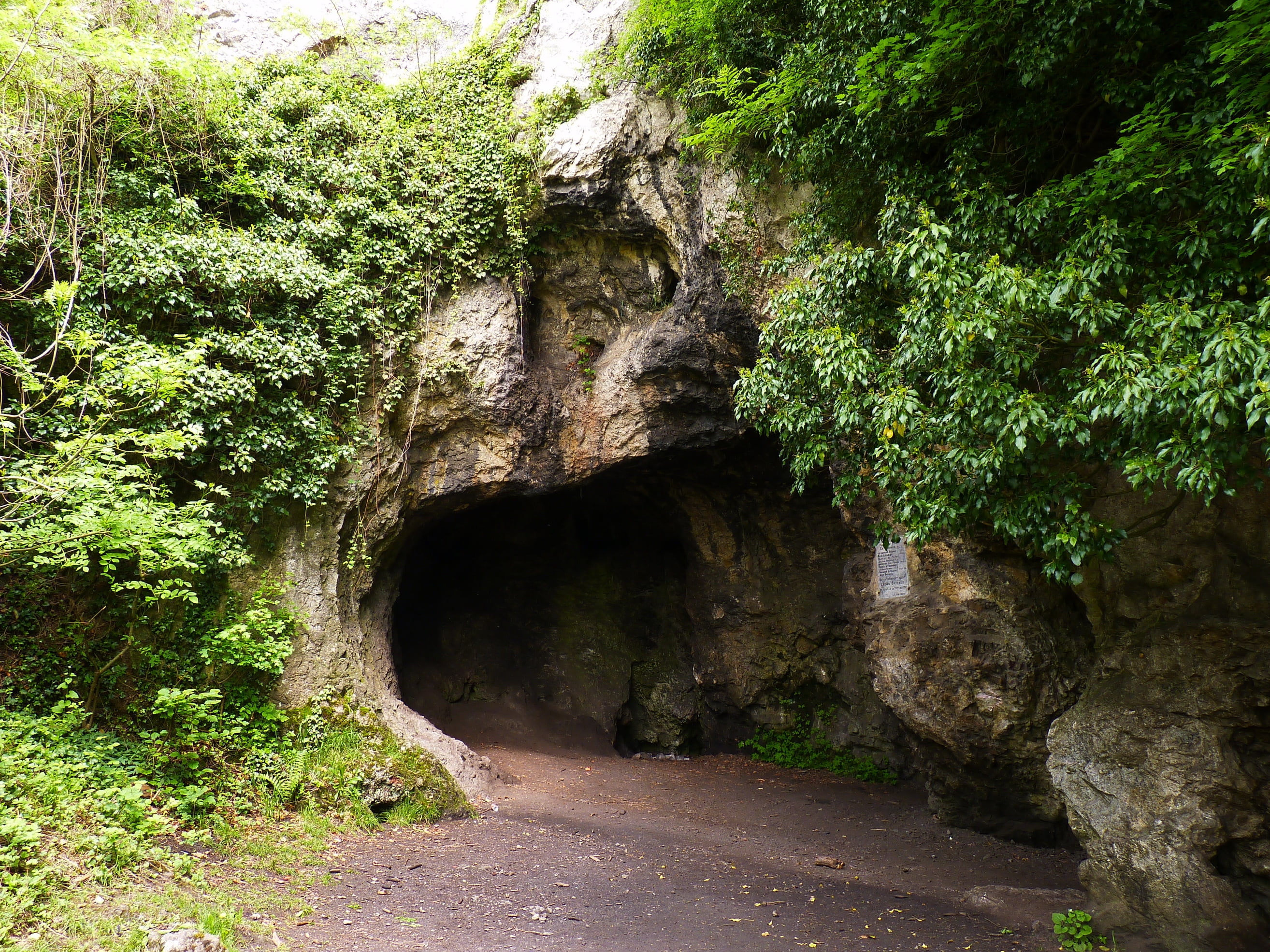 forest, transportation, cliff, rock formation, no people, the way forward, mountain, scenics, plant, landscape, tourism, solid, grotto, growth, rock, outdoors, HD Wallpaper