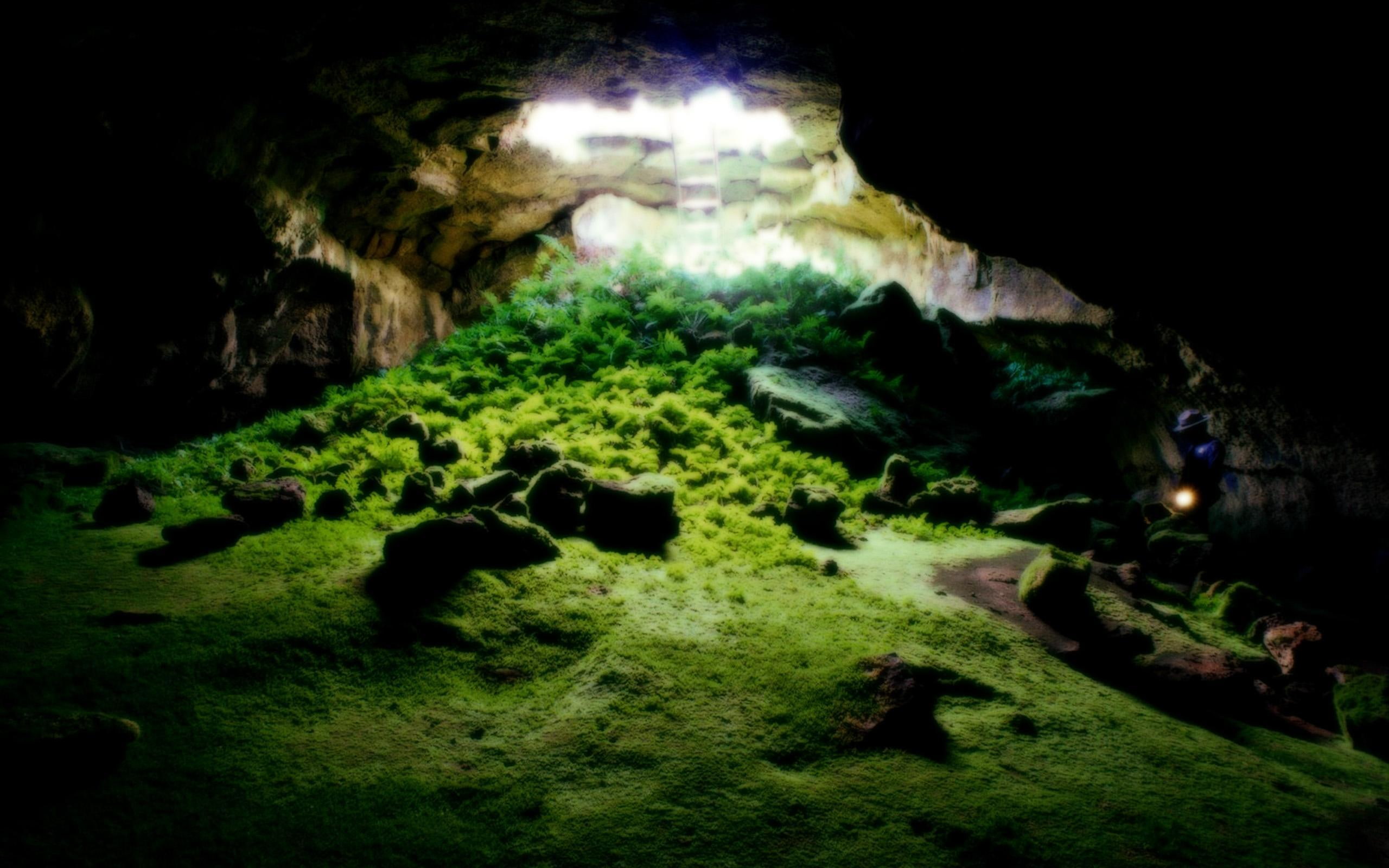 grass, nature, 2K, 3d and abstract, green, beautiful, cave, HD Wallpaper