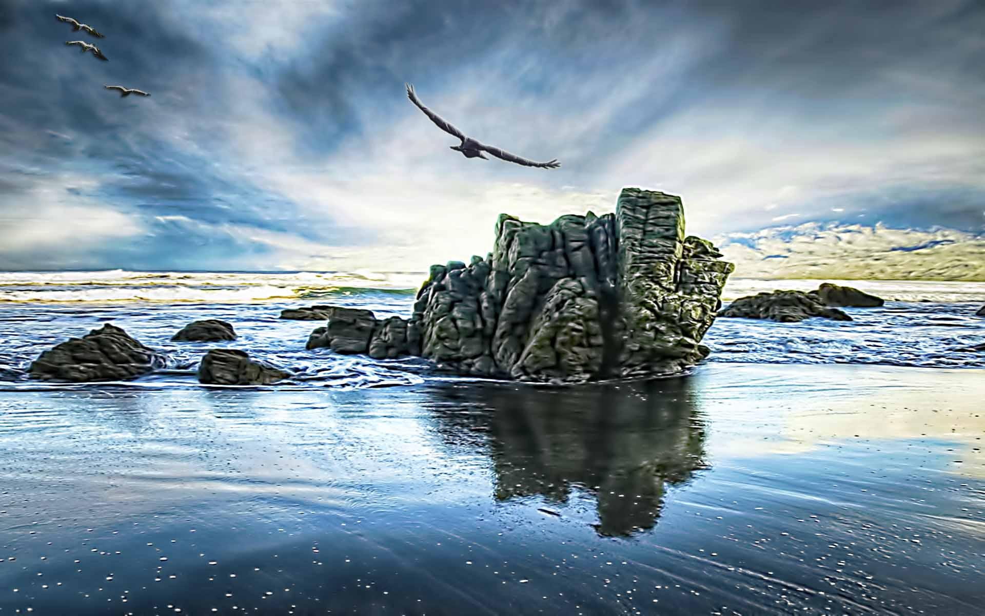 beauty, rock, wave, birds, 1080P, blue, 3d and abstract, searching, beach, HD Wallpaper