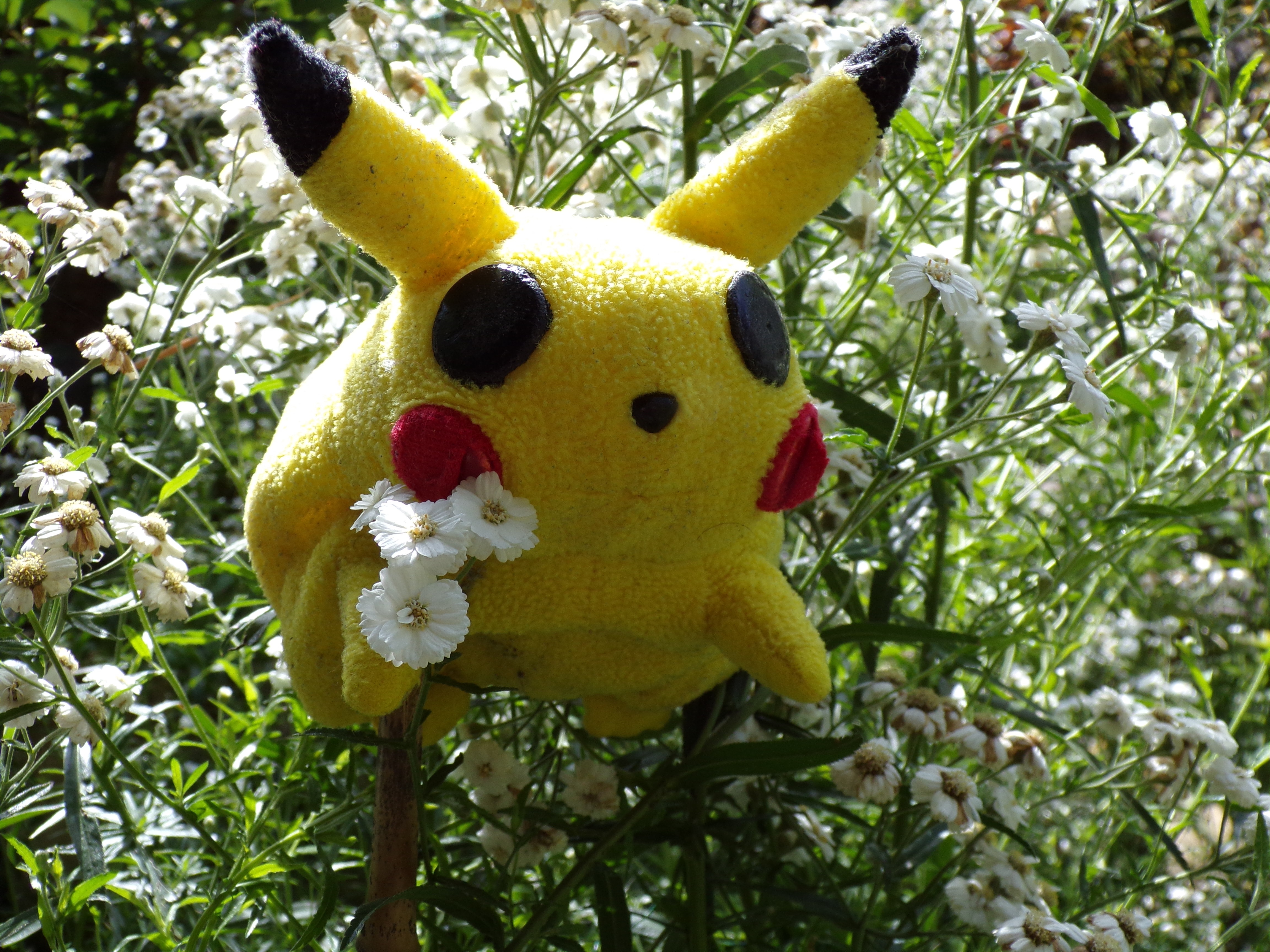toy, pikachu, flower, plush, nature, animal representation, focus on foreground, holiday, flowering plant, softness, stuffed toy, picachu, comic, no people, HD Wallpaper