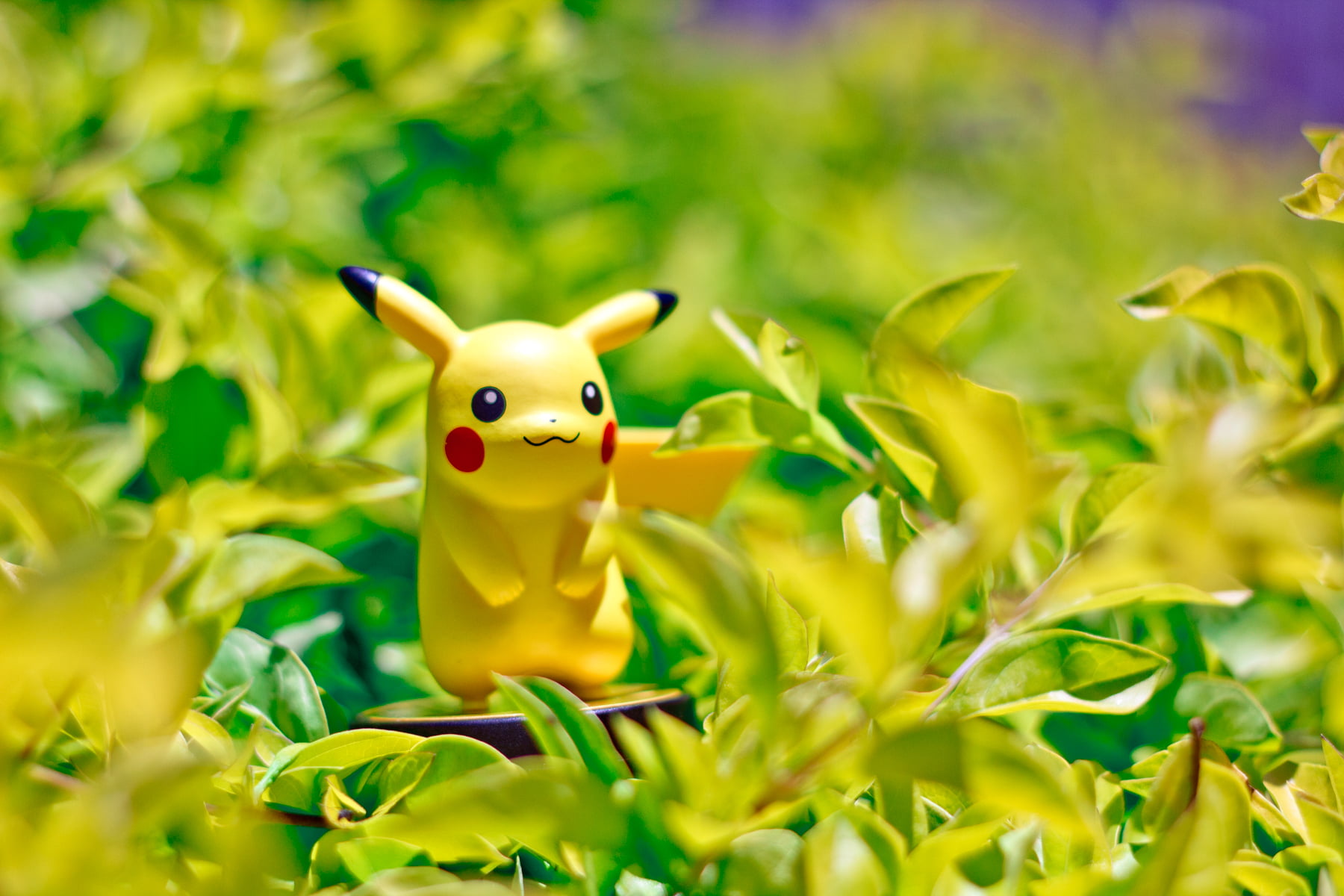 Nintendo, amiibo, toys, pokemon, daytime, cute, Shallow, Pokémon  Pikachu, green Color, nature, figure, animal, standing, pikachu, on plants, photography, HD Wallpaper
